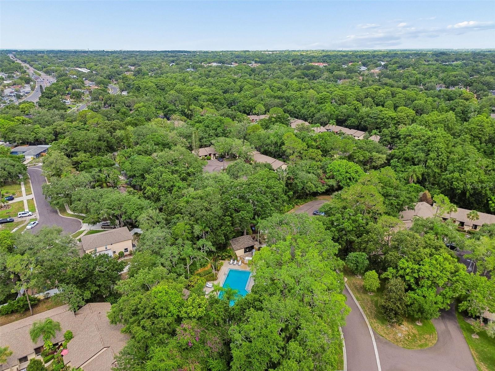 2903 FIG CT — photo 42
