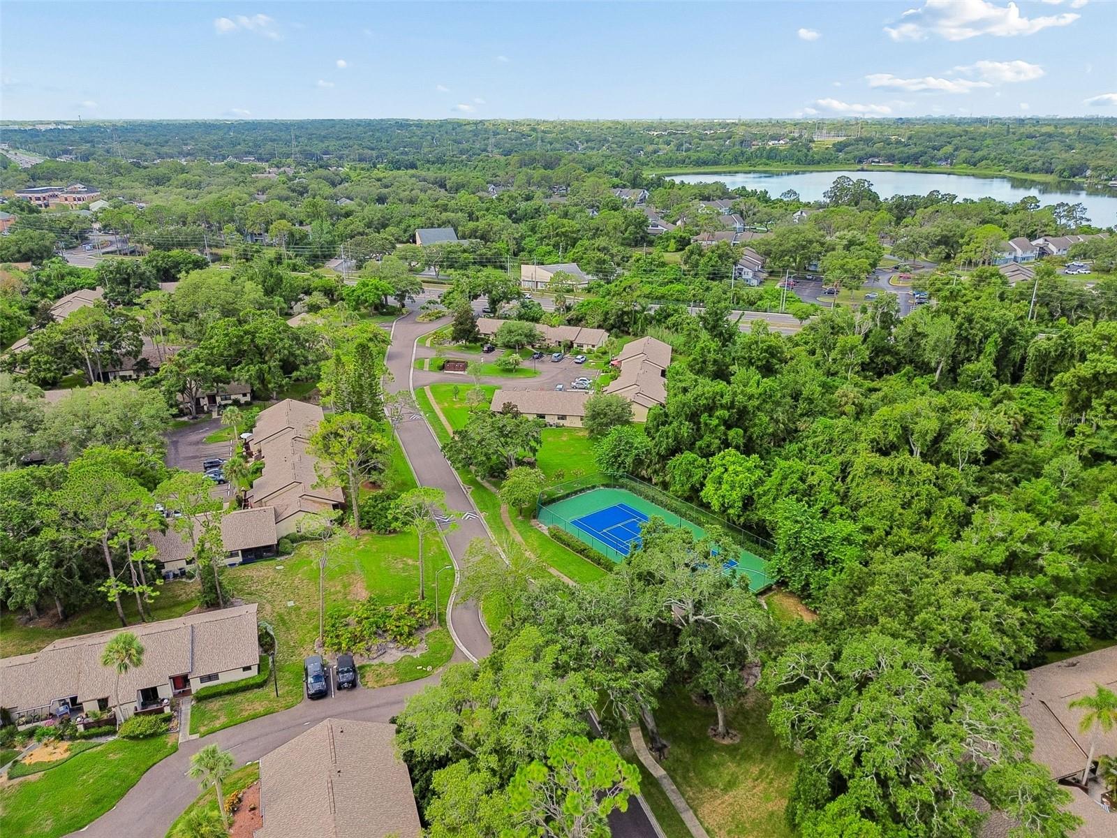 2903 FIG CT — photo 41