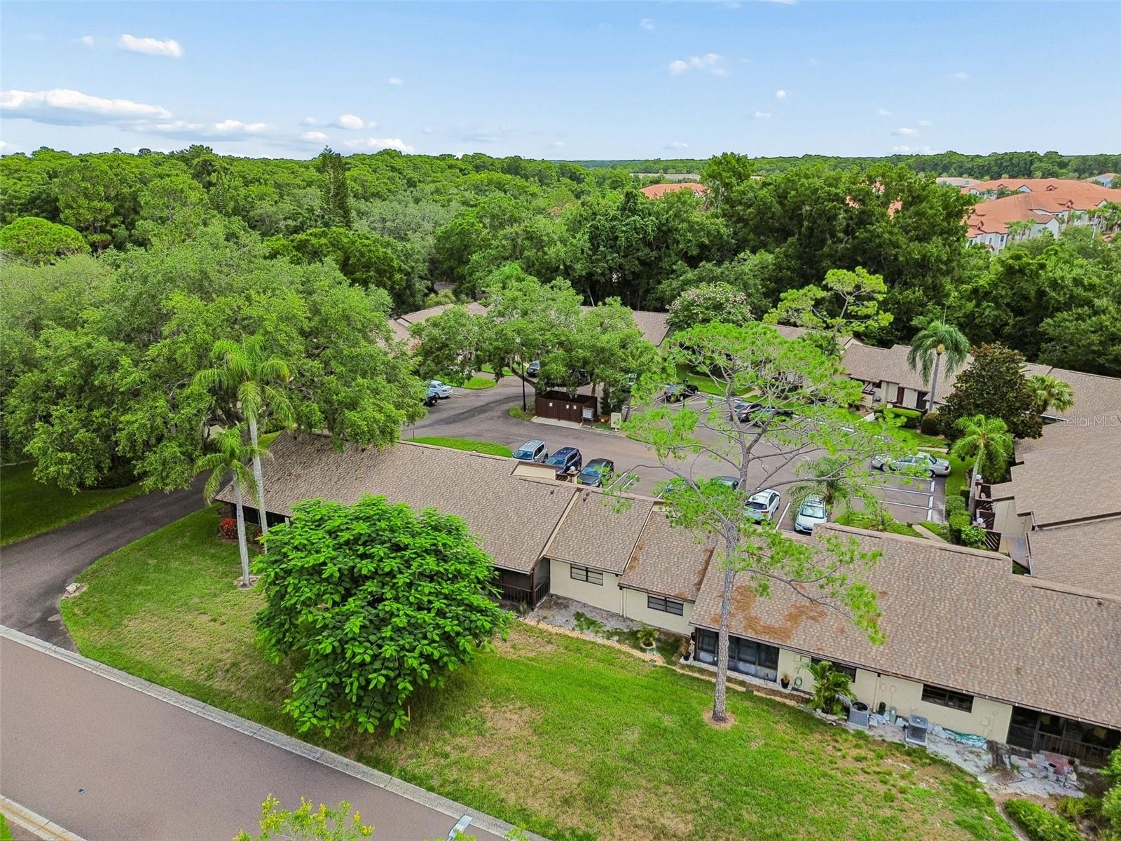 2903 FIG CT — photo 39