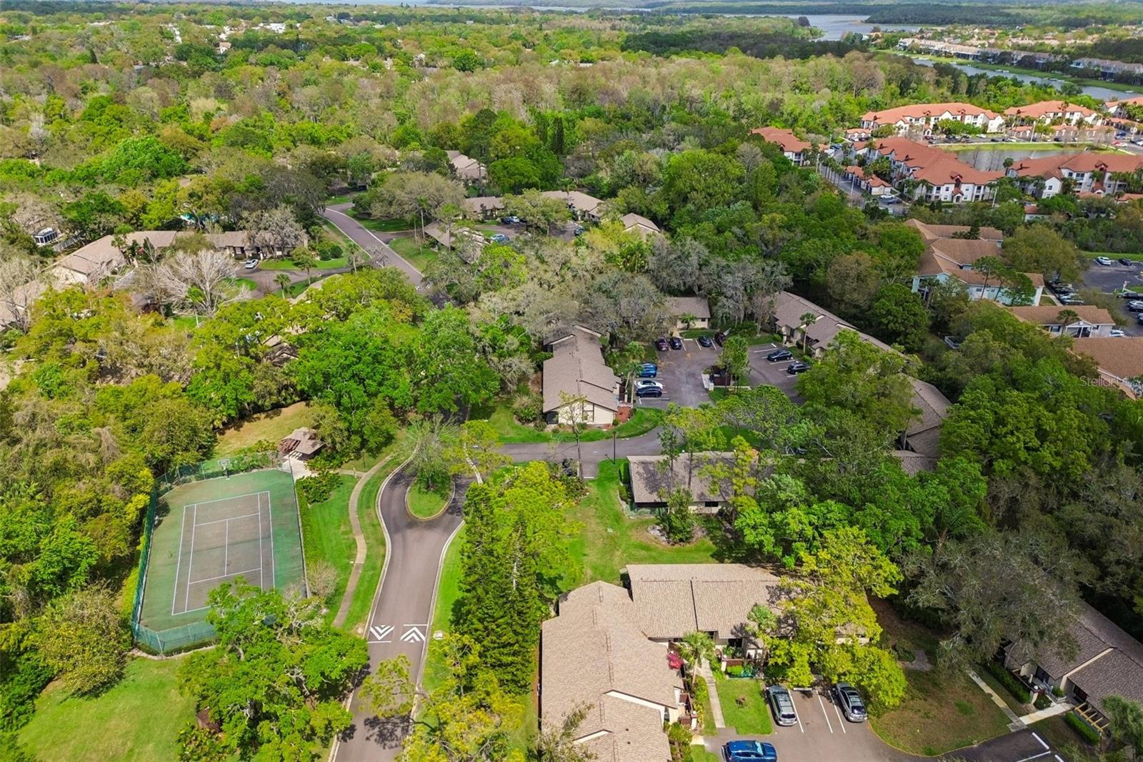 2903 FIG CT — photo 45