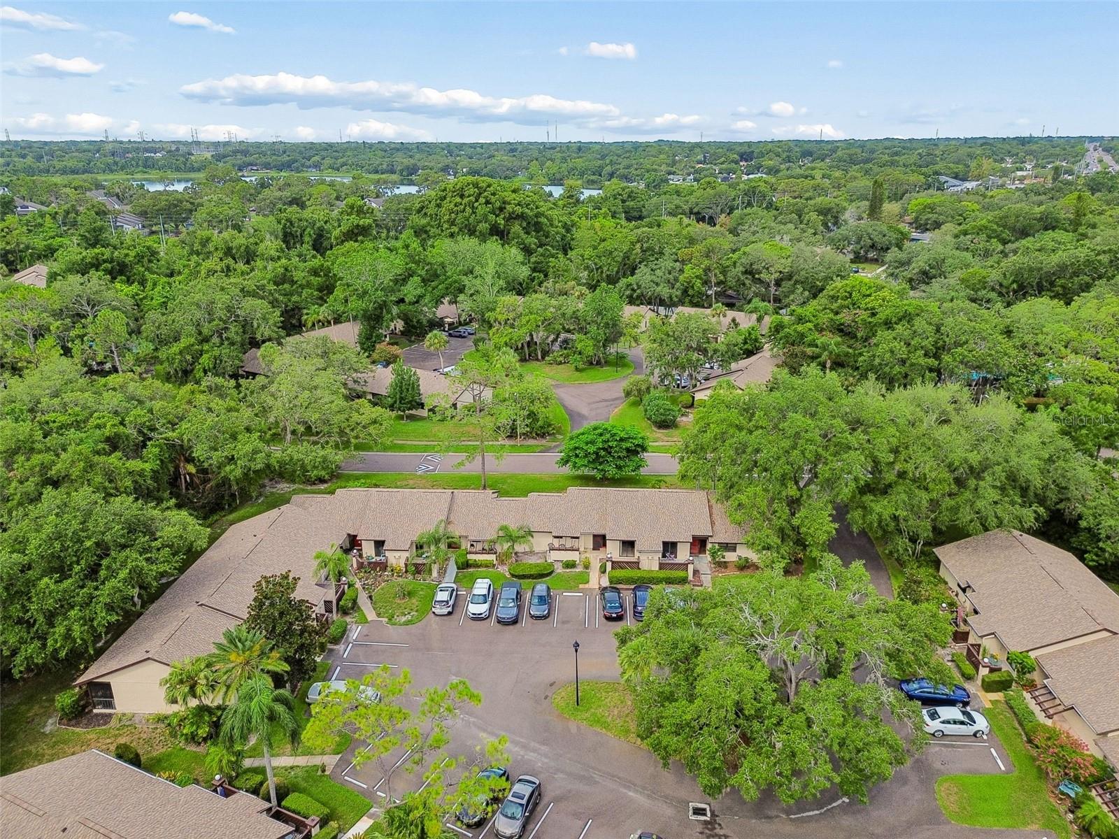 2903 FIG CT — photo 35