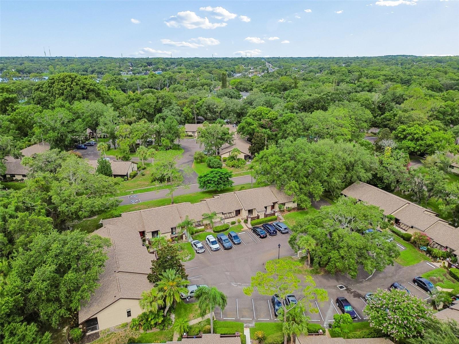 2903 FIG CT — photo 36