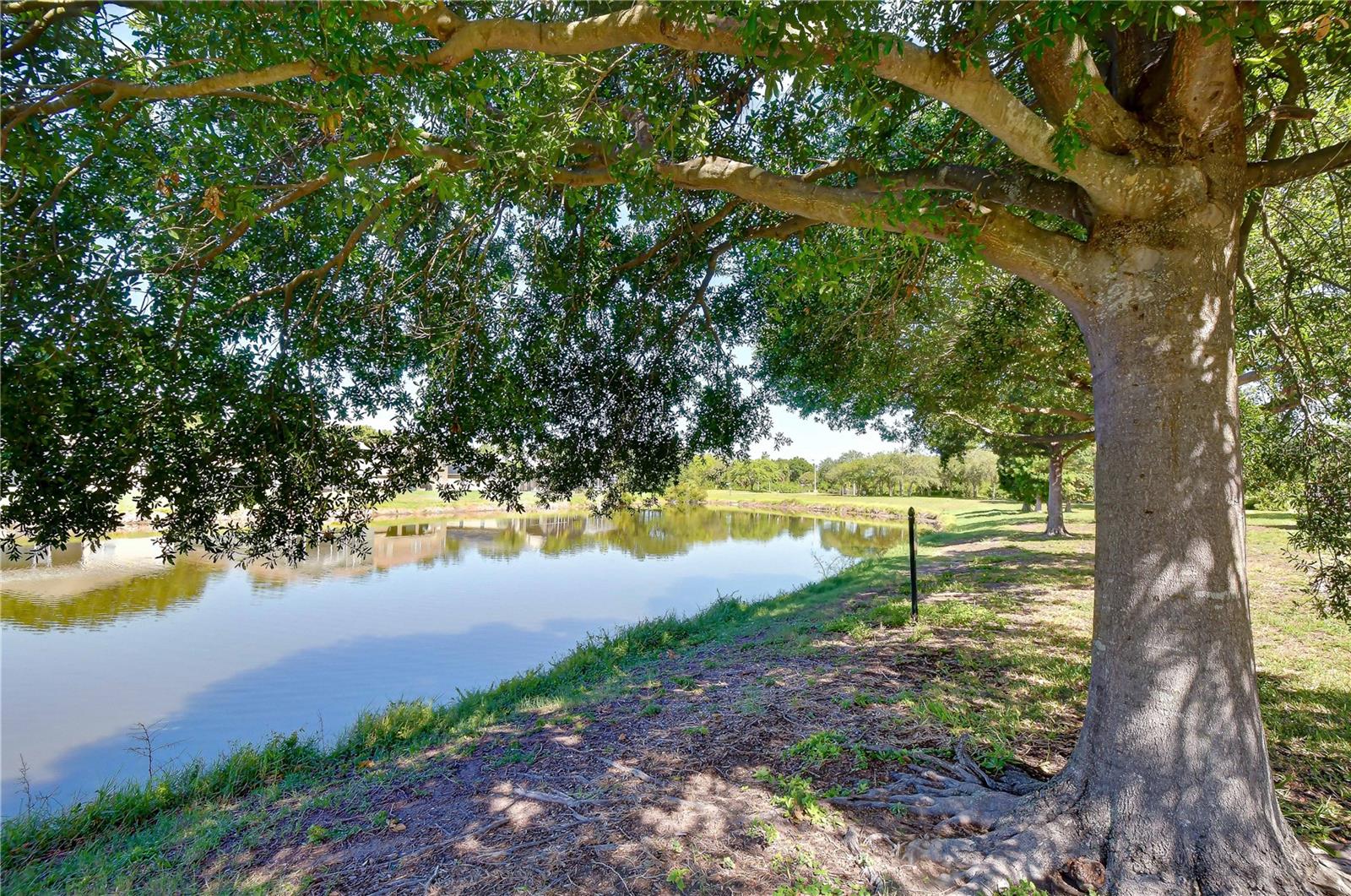6919 TOWERING SPRUCE DR — photo 7