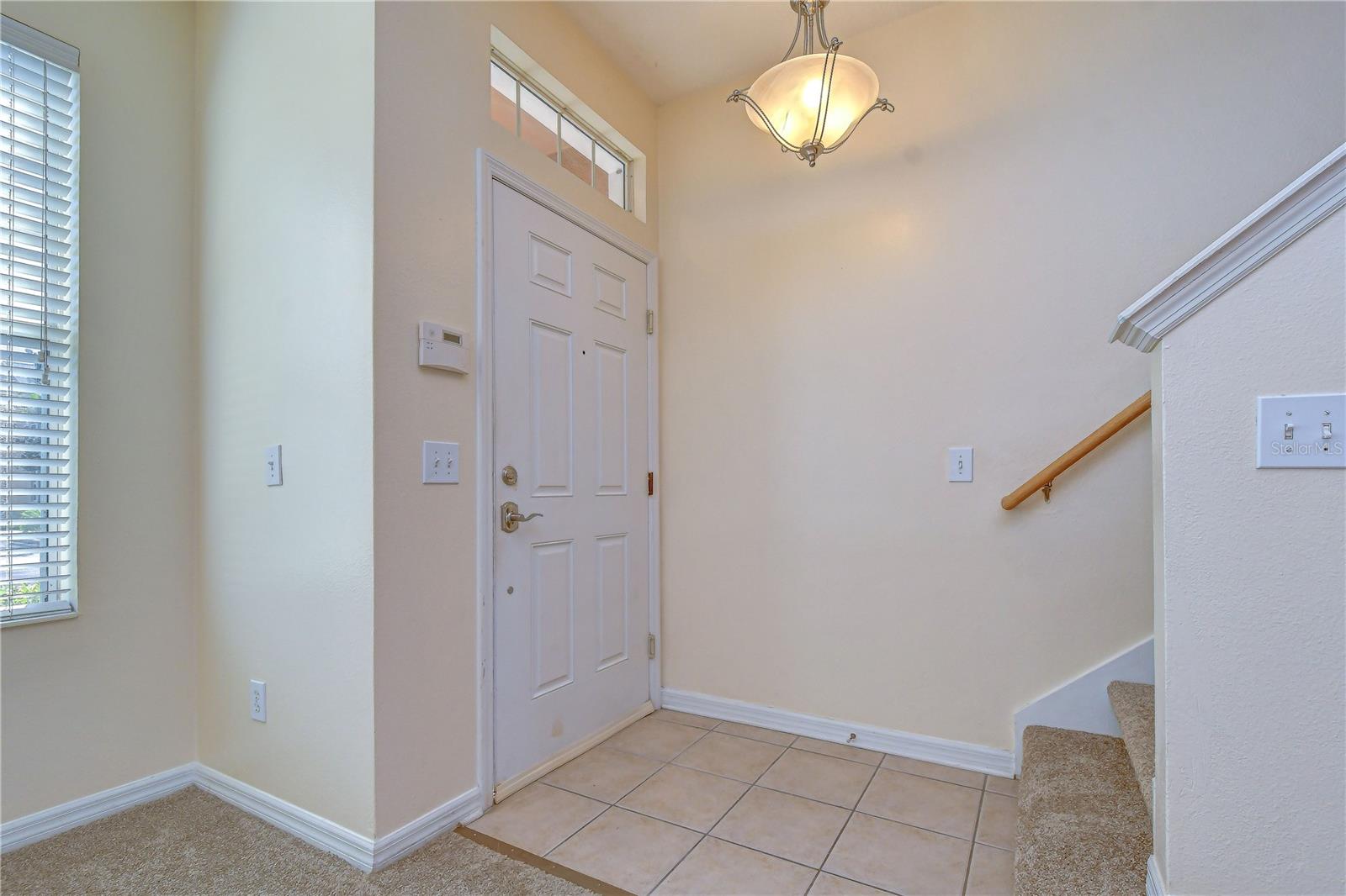 6919 TOWERING SPRUCE DR — photo 9