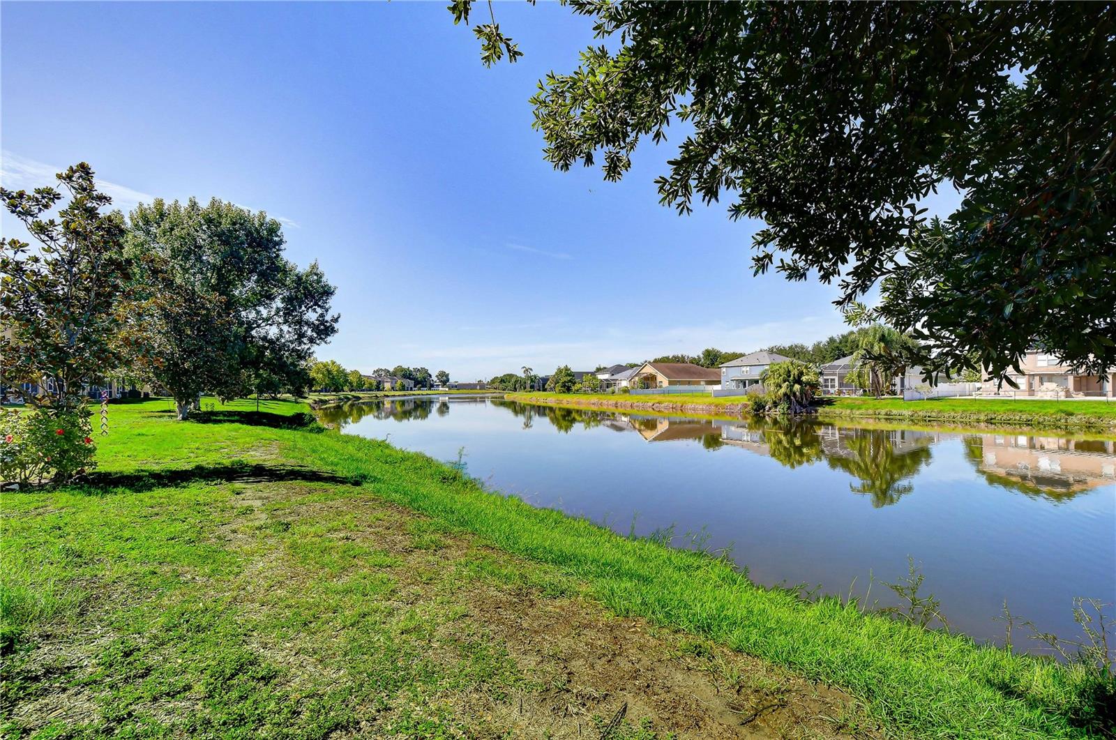 6919 TOWERING SPRUCE DR — photo 8