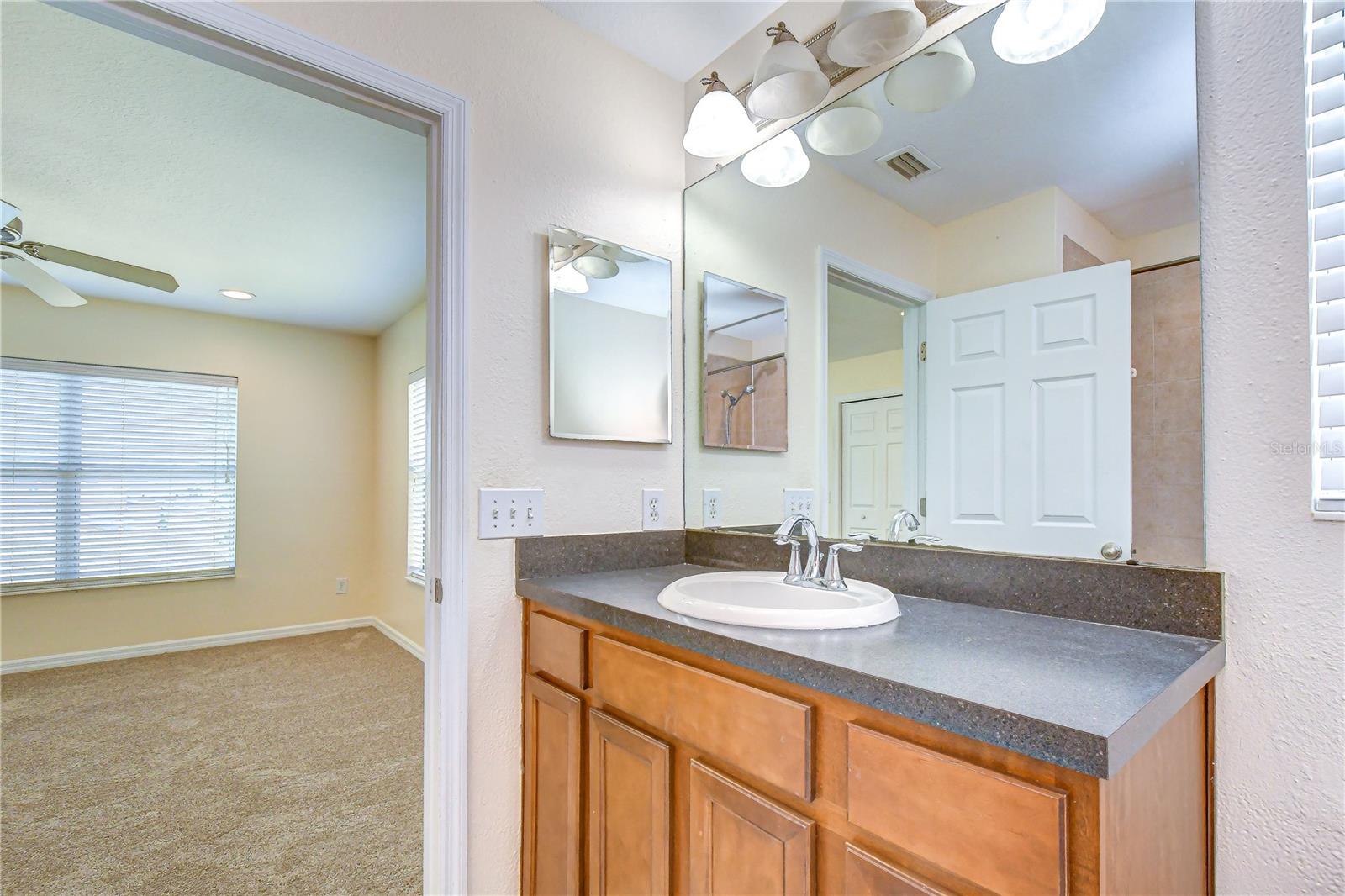 6919 TOWERING SPRUCE DR — photo 24
