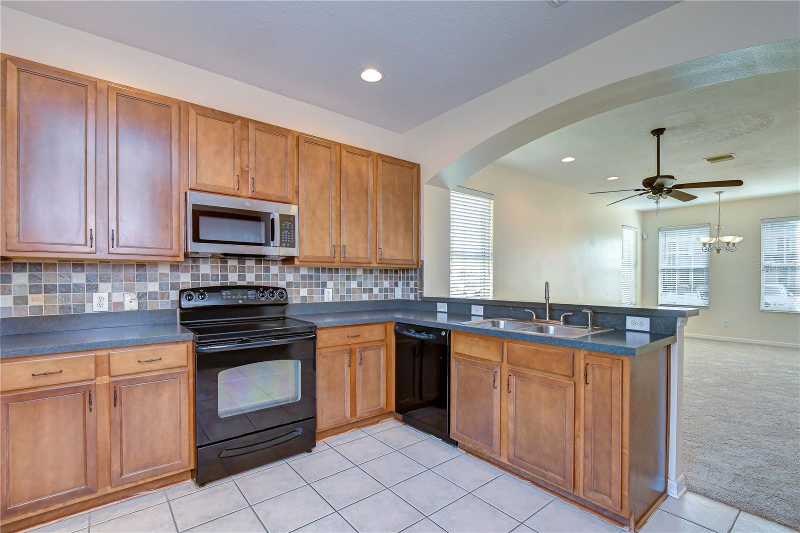 6919 TOWERING SPRUCE DR — photo 17