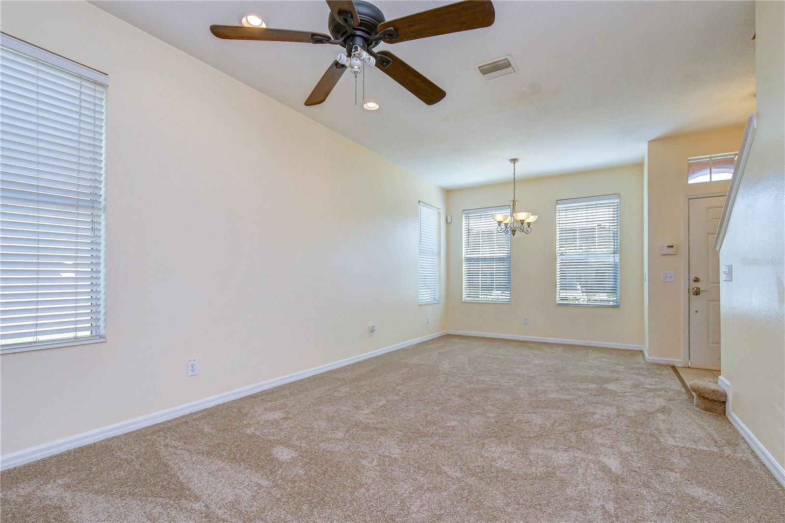 6919 TOWERING SPRUCE DR — photo 13
