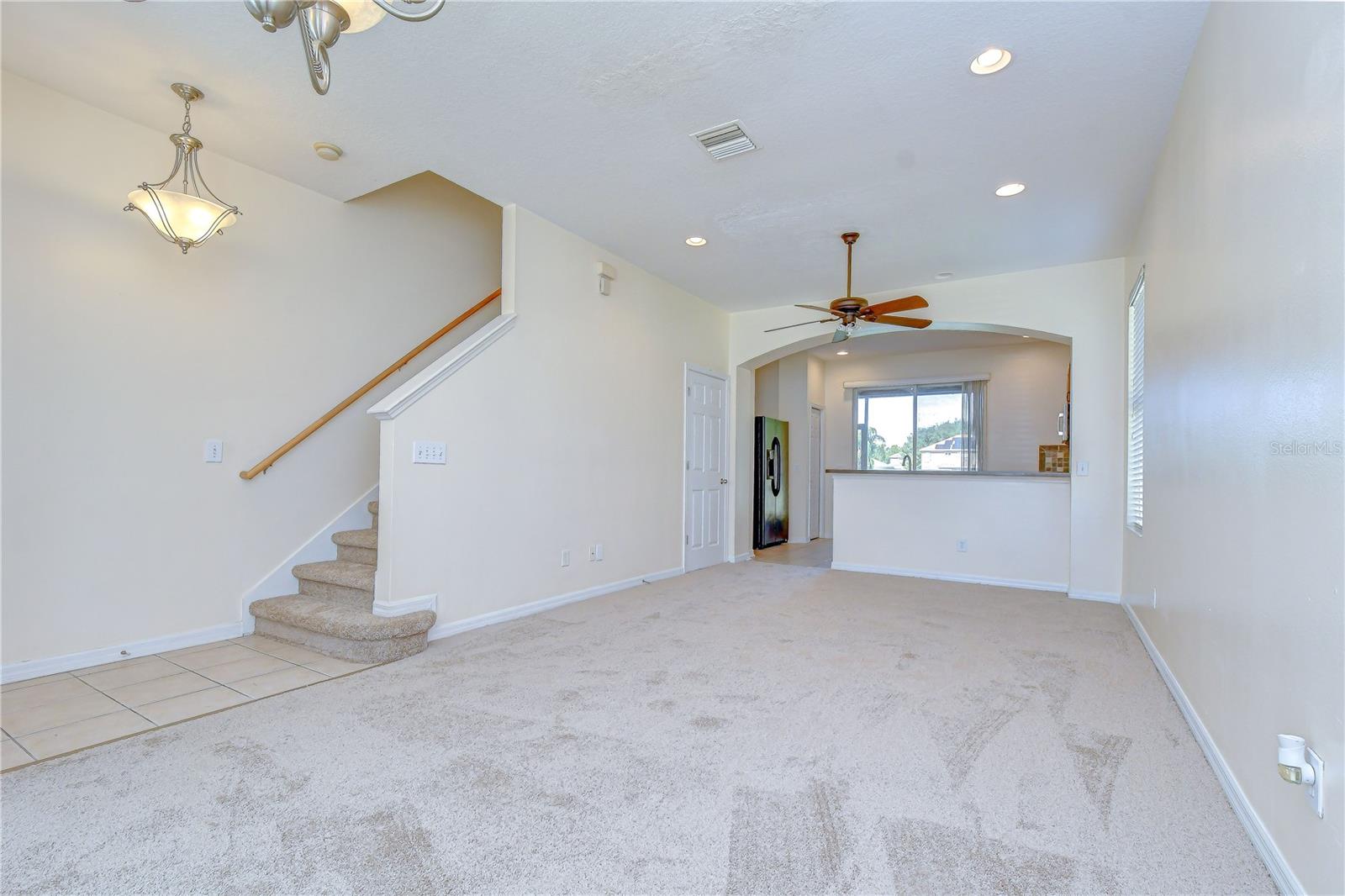 6919 TOWERING SPRUCE DR — photo 11