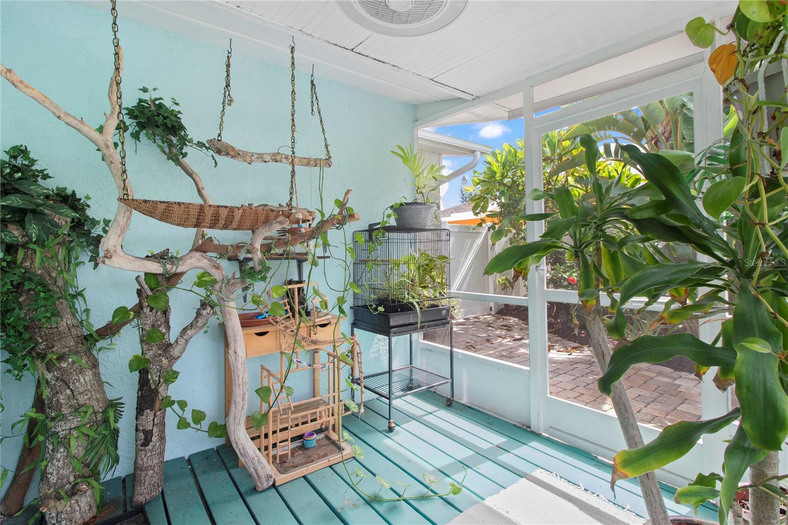 3326 BOUGAINVILLEA ST — photo 22