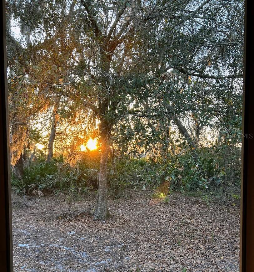 14635 DUPREE RD — photo 33