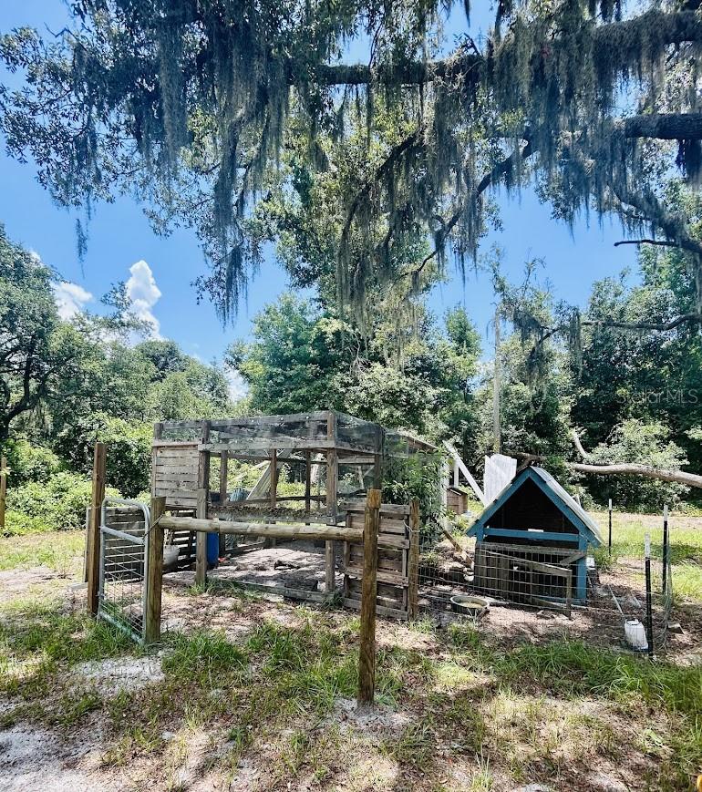 14635 DUPREE RD — photo 30