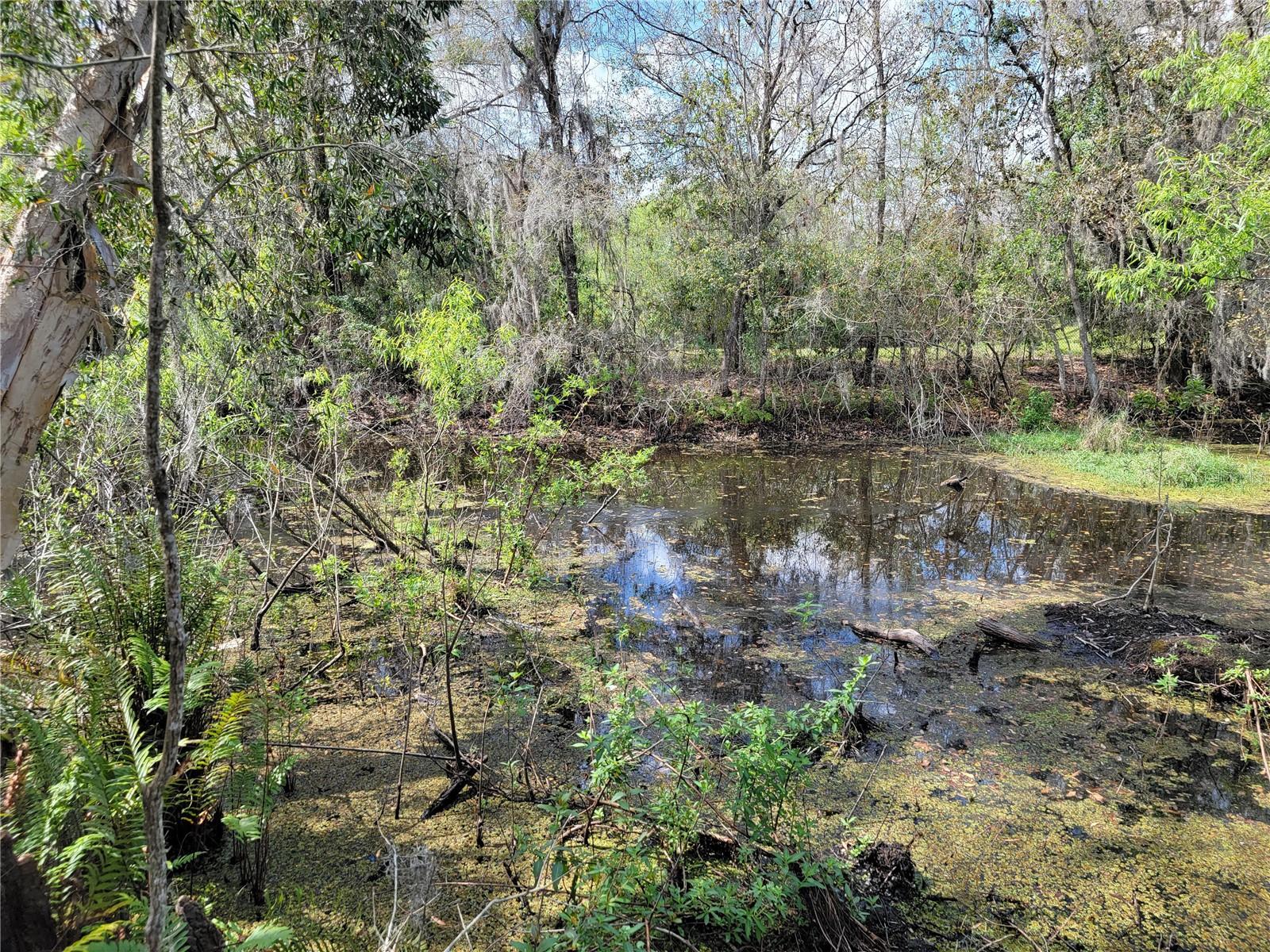 TBD BELL LAKE RD — photo 2