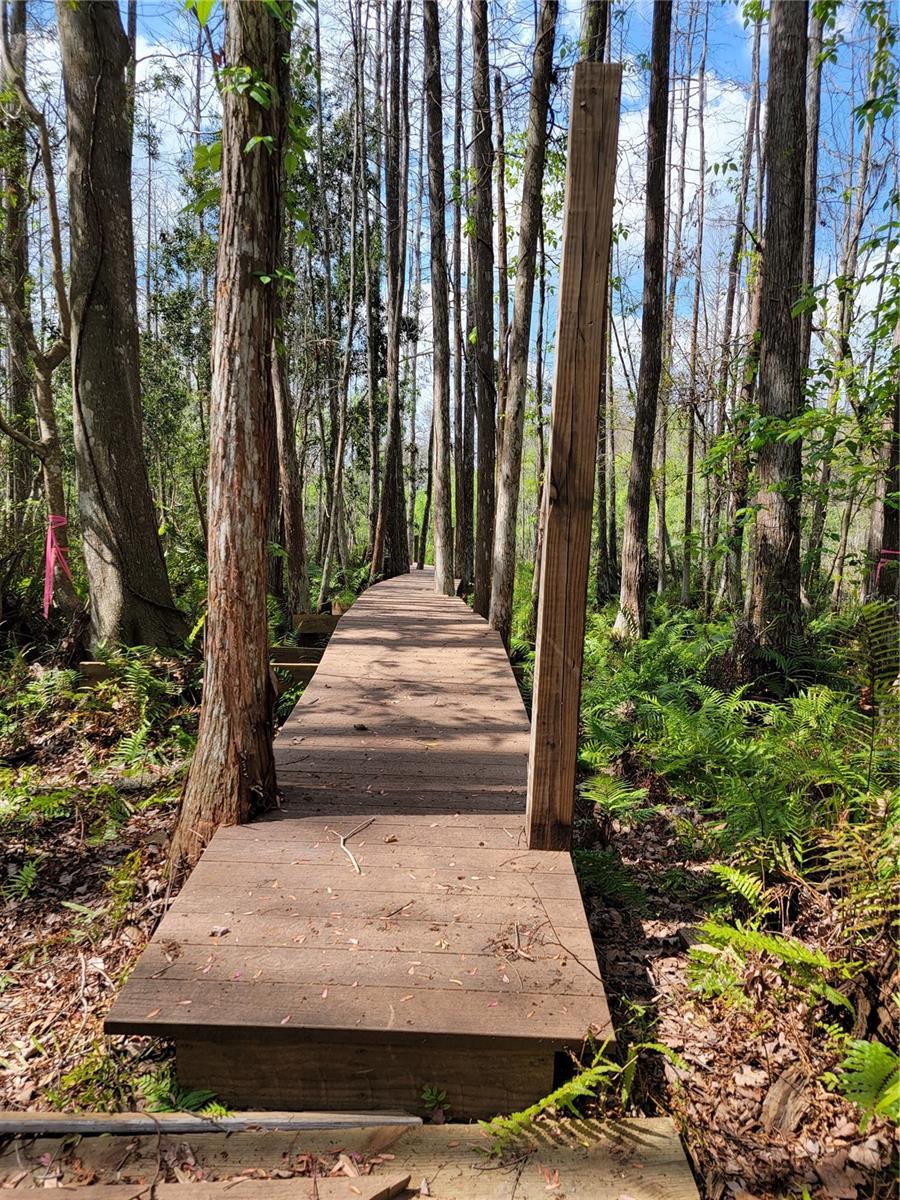 TBD BELL LAKE RD — photo 3