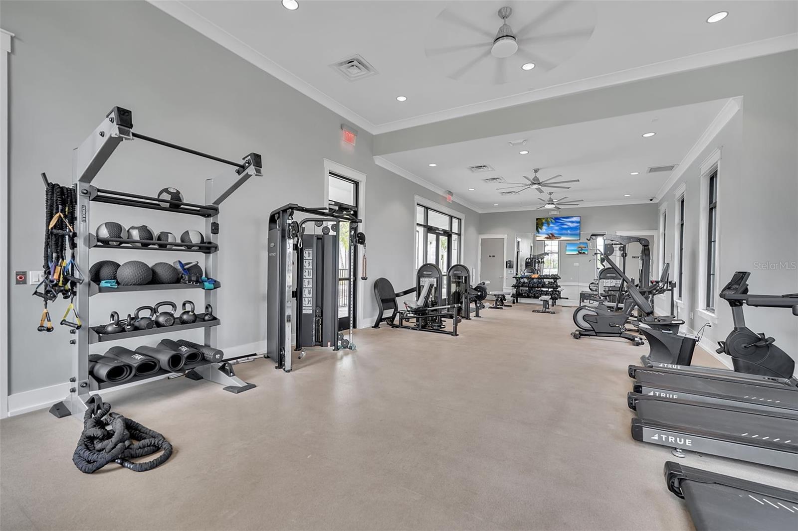 16942 SAVORY MIST CIR — photo 95