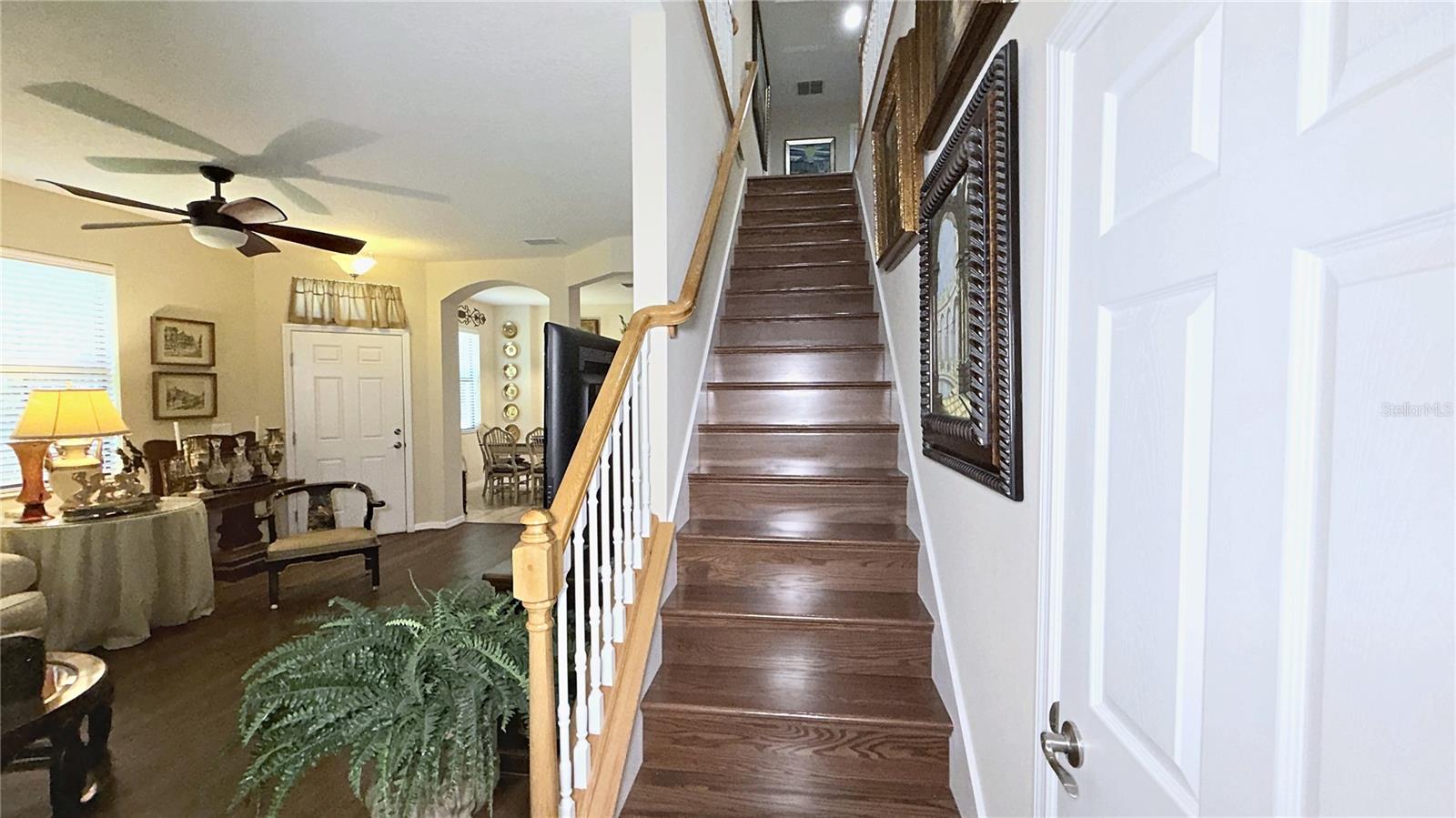7974 TASSO CT — photo 11