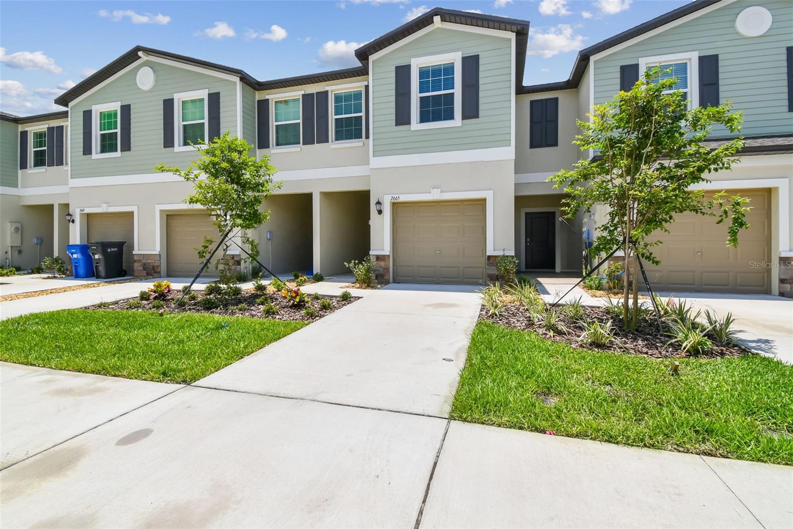 2665 BUTTERCUP LUCINE LN — photo 52
