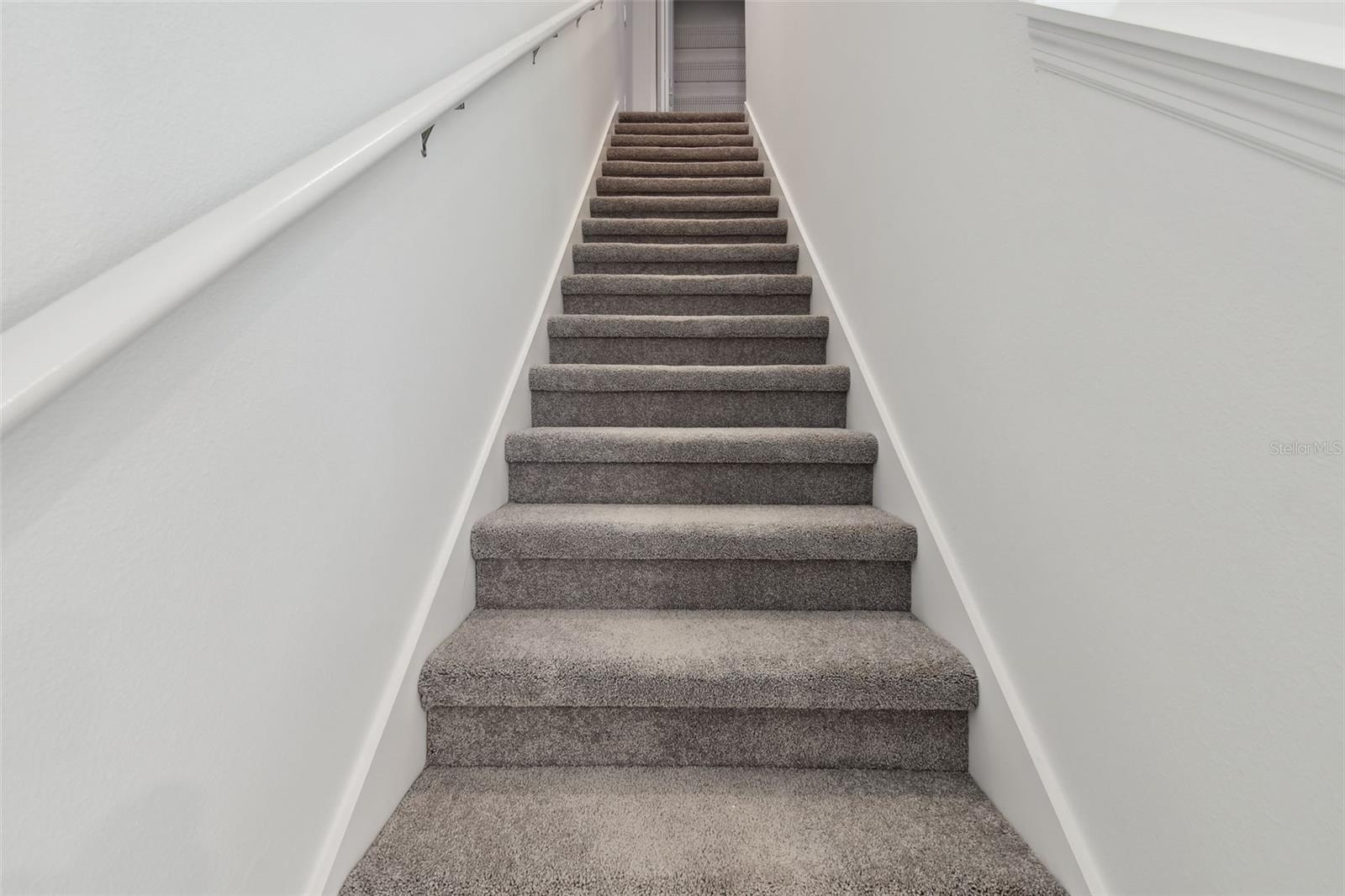 2665 BUTTERCUP LUCINE LN — photo 20