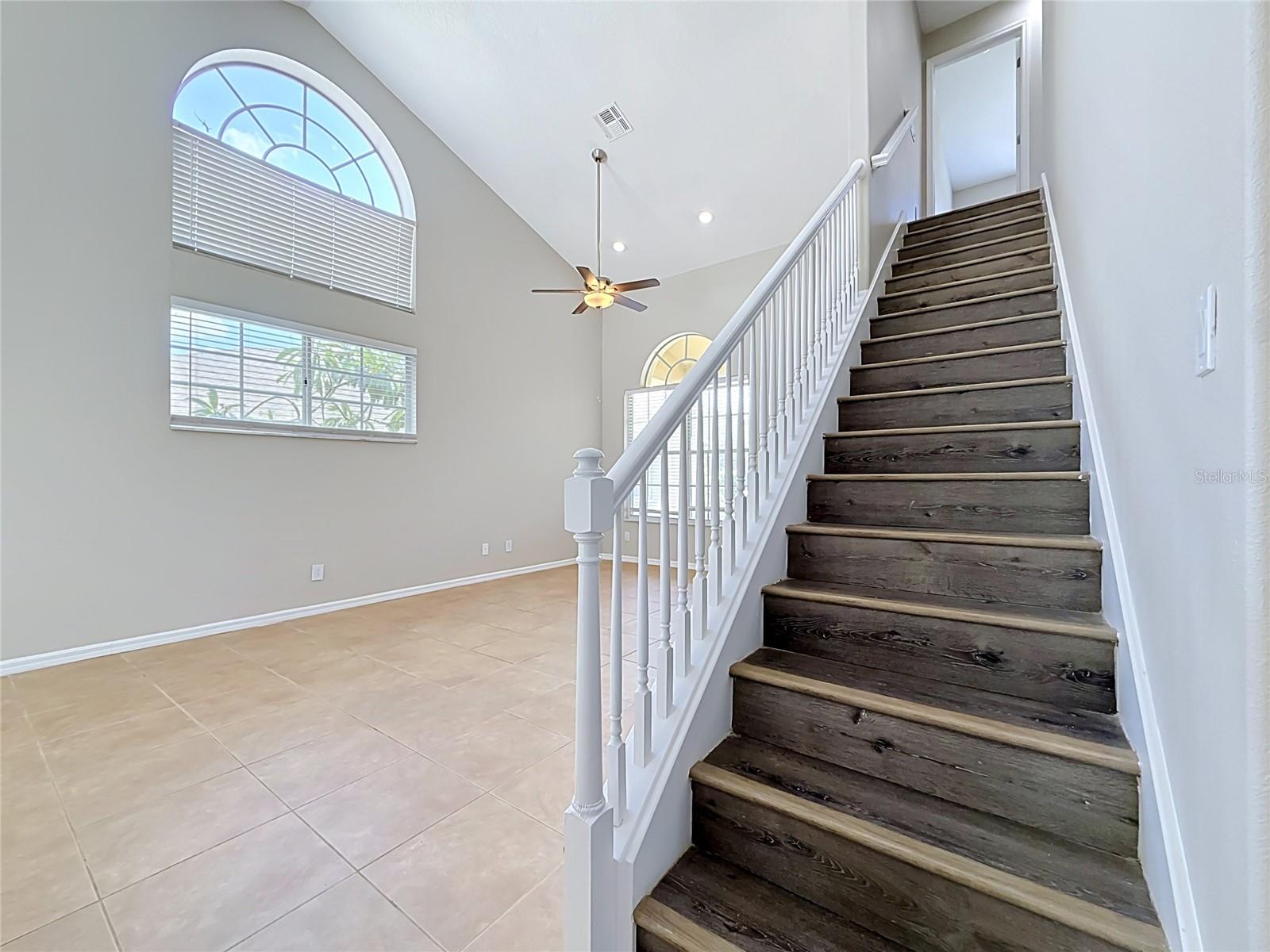 437 BRILAND ST — photo 17