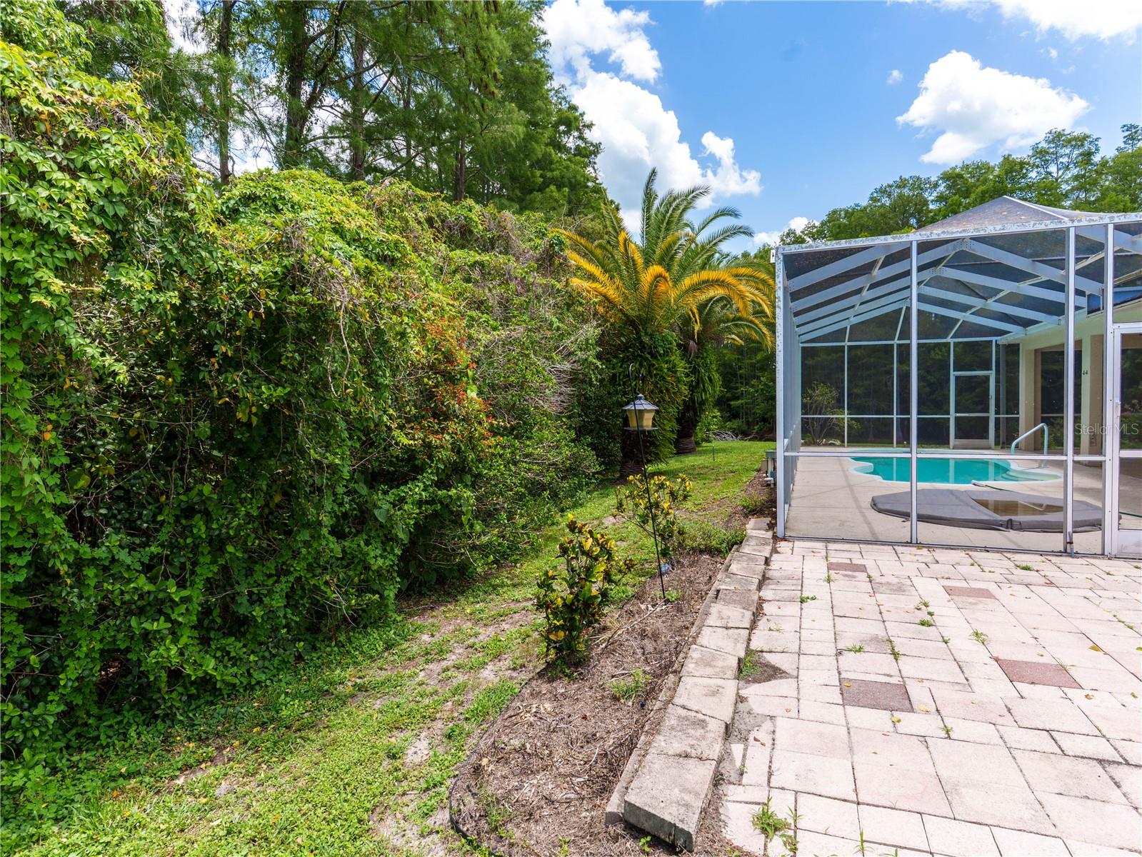8153 BAYTREE DR — photo 53