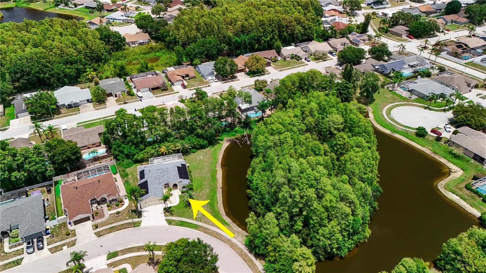 8153 BAYTREE DR — photo 7