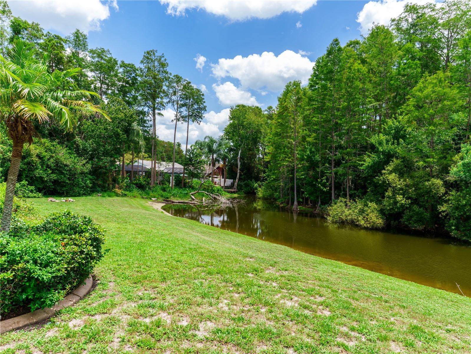8153 BAYTREE DR — photo 4