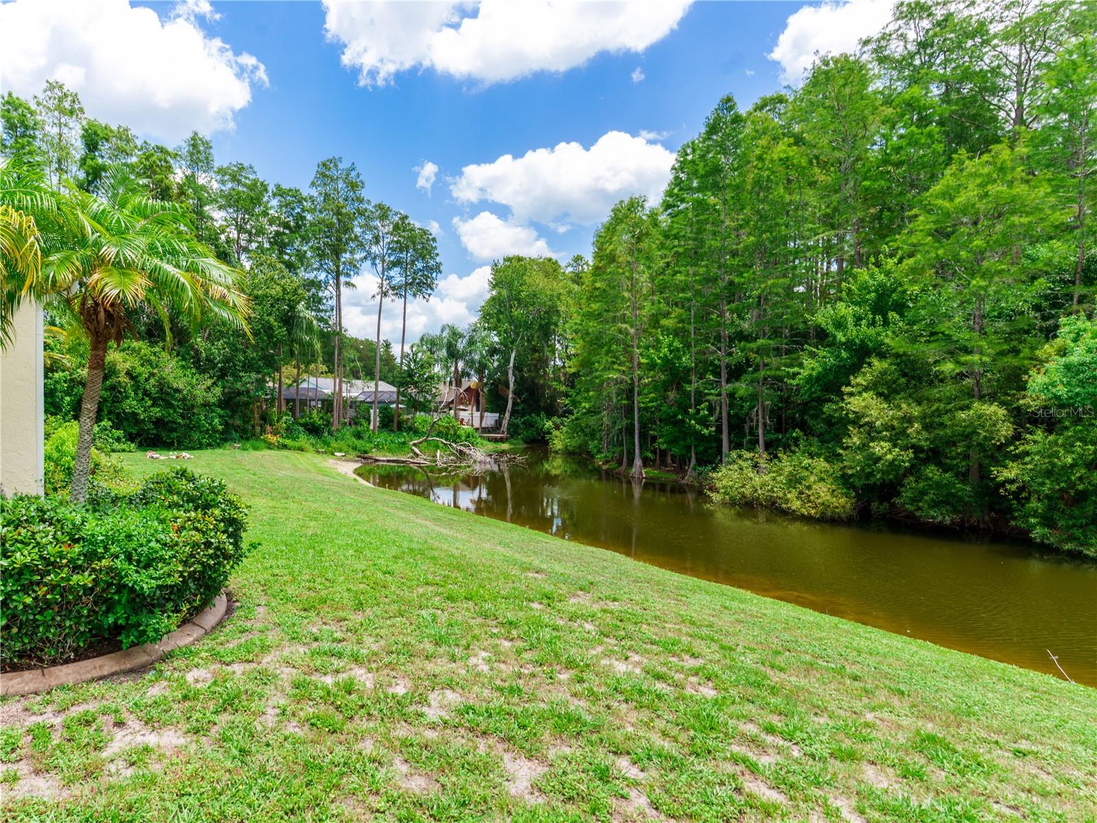 8153 BAYTREE DR — photo 5