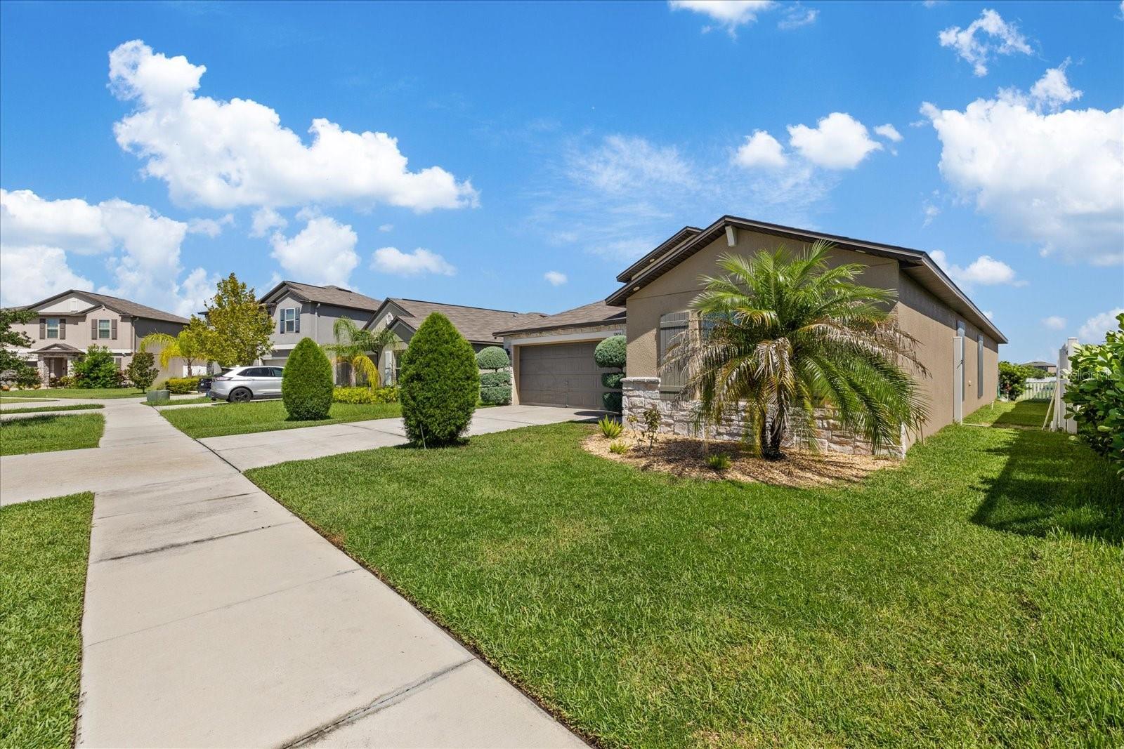 11803 BLACKEYED SUSAN DR — photo 4
