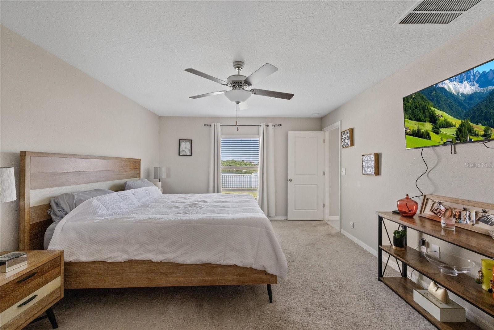 11803 BLACKEYED SUSAN DR — photo 24
