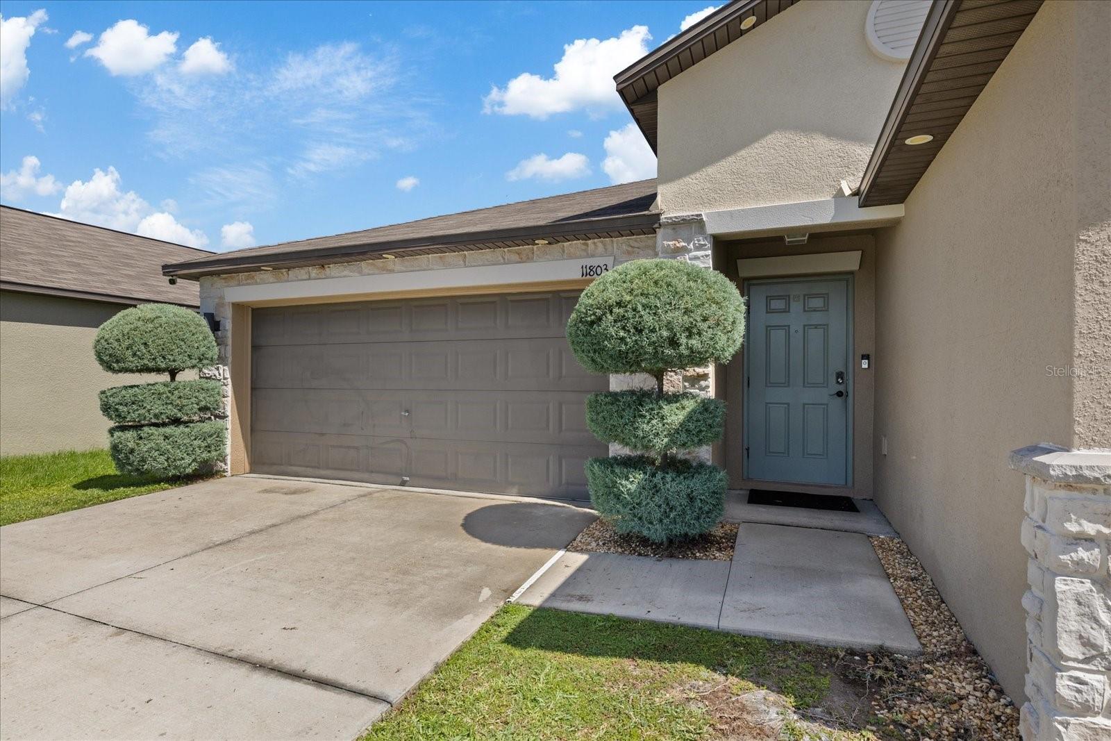 11803 BLACKEYED SUSAN DR — photo 5