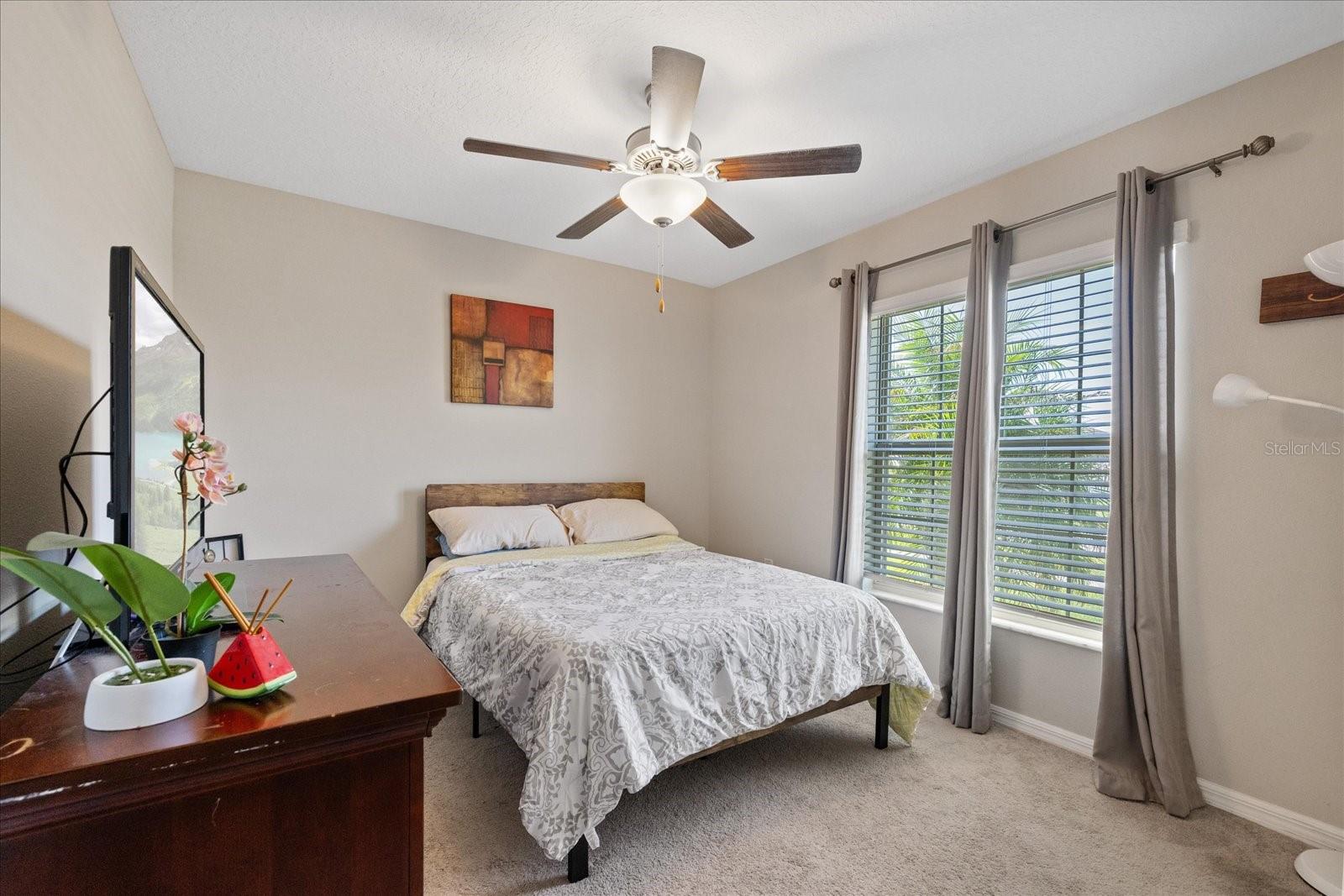 11803 BLACKEYED SUSAN DR — photo 29