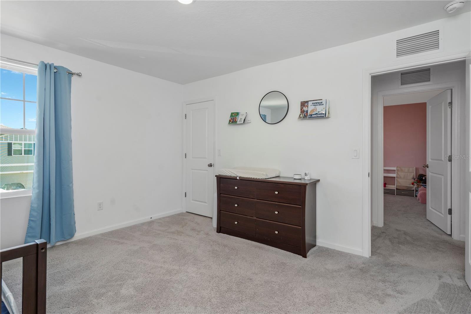 35567 BUTTONWEED — photo 28