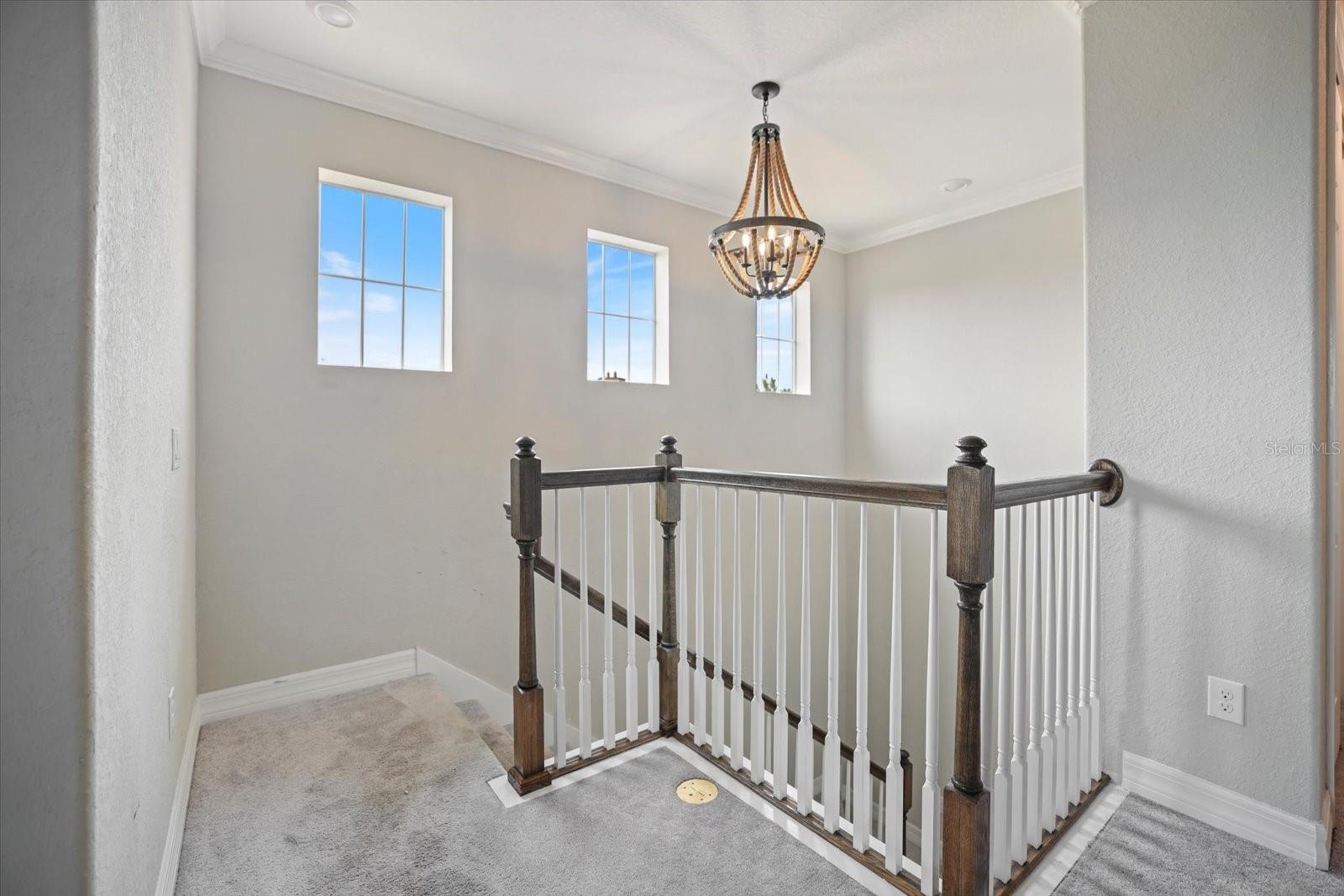 12120 GANNETT PL — photo 46