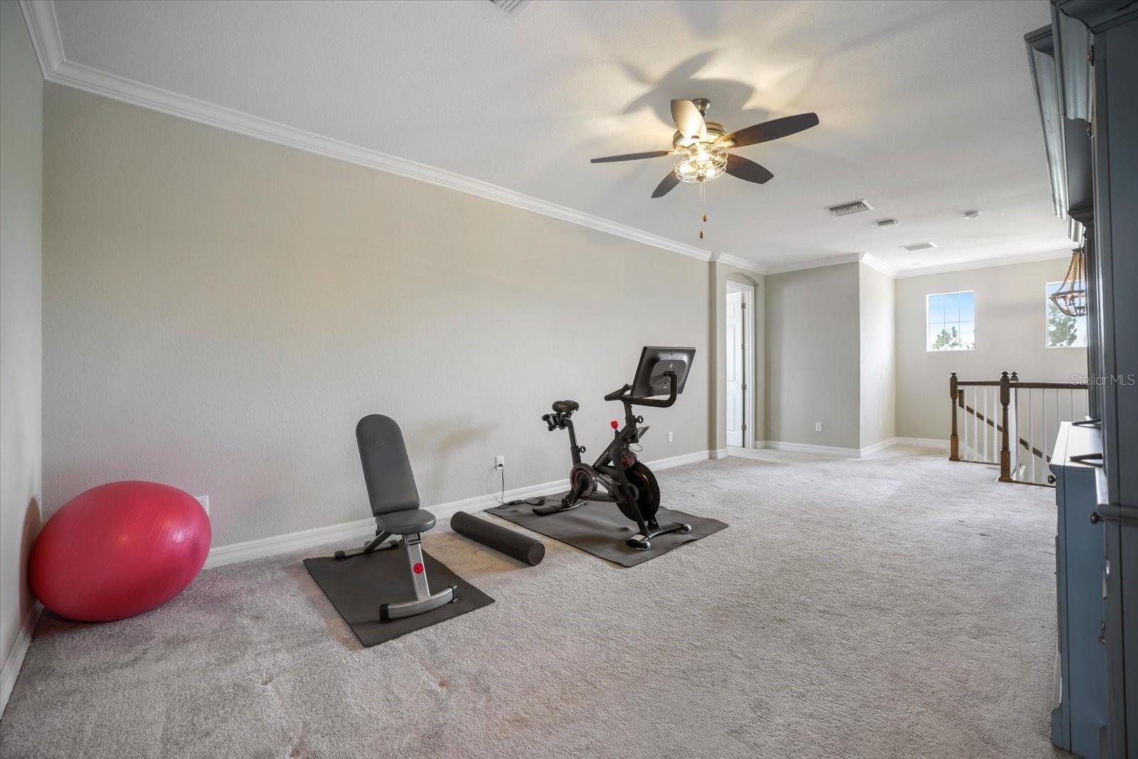 12120 GANNETT PL — photo 49