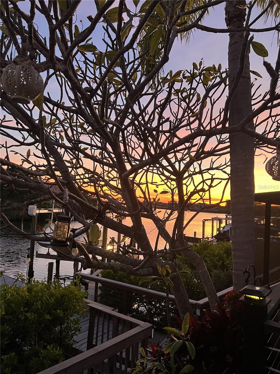 820 SYMPHONY ISLES BLVD — photo 51