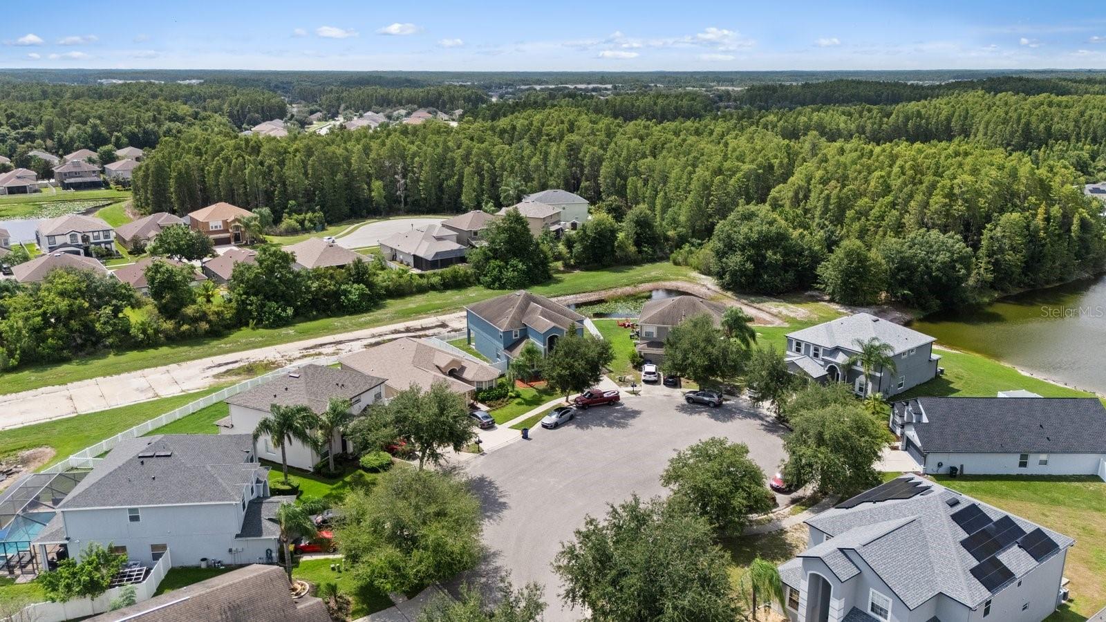 2841 TRINITY COTTAGE DR — photo 52