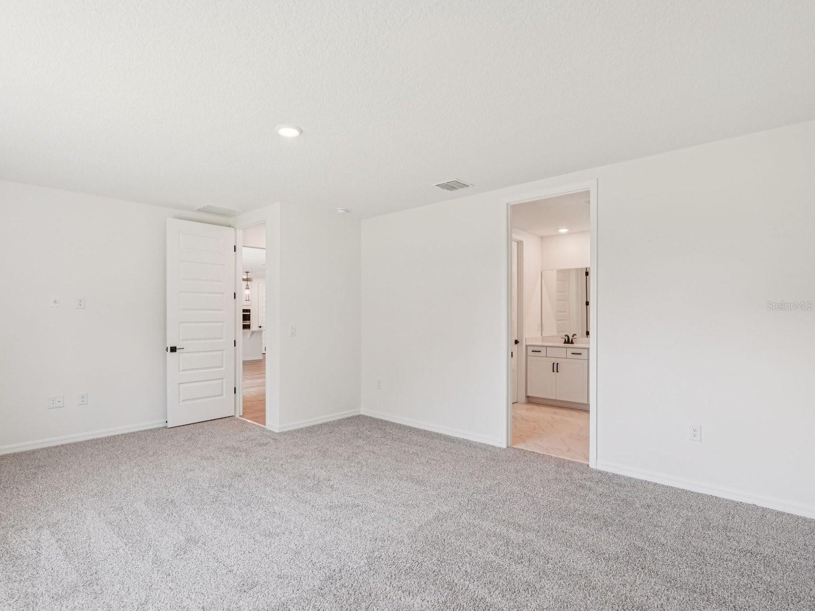 10506 ABUNDANCE GROVE WAY — photo 9