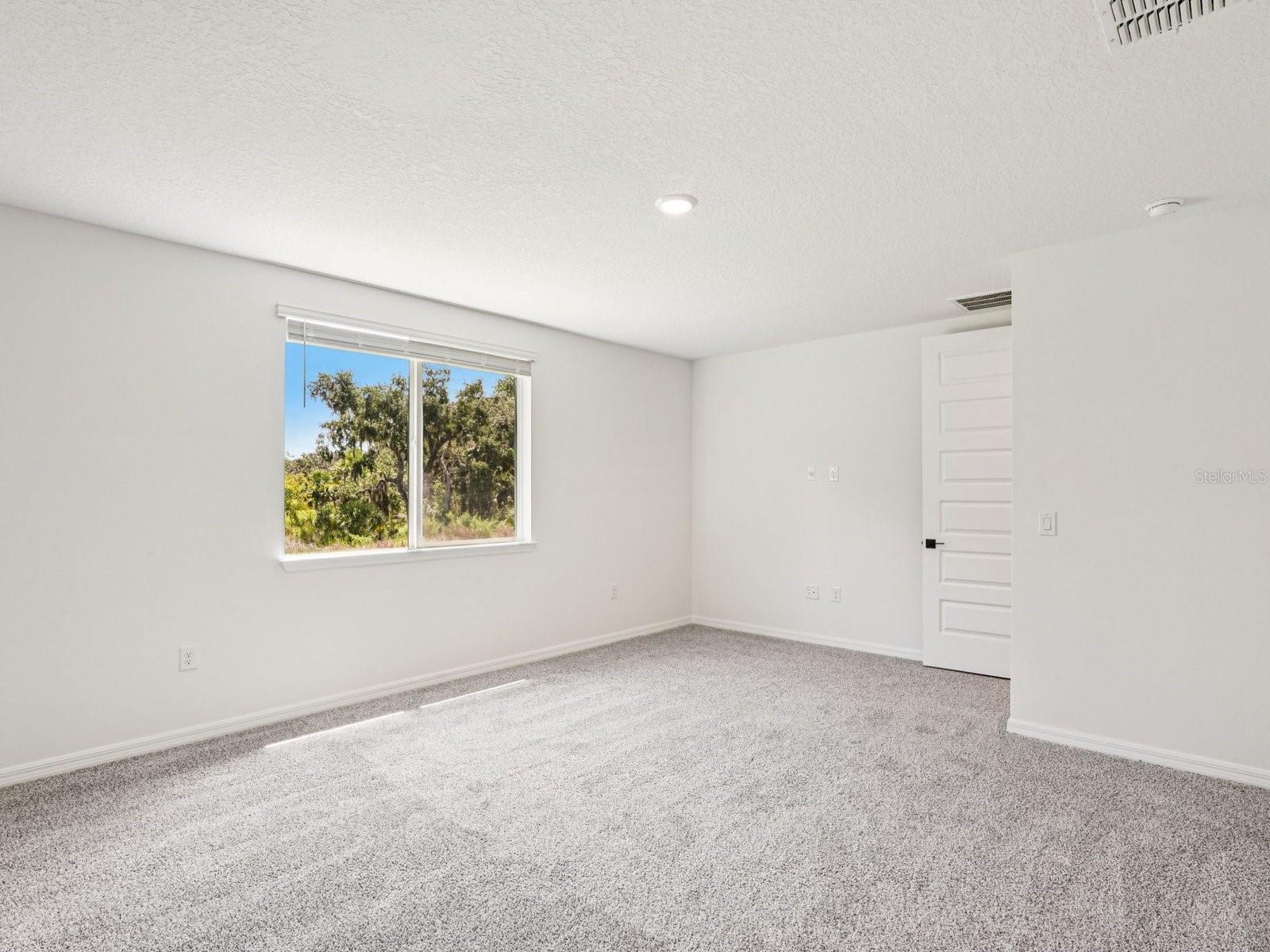 10506 ABUNDANCE GROVE WAY — photo 10