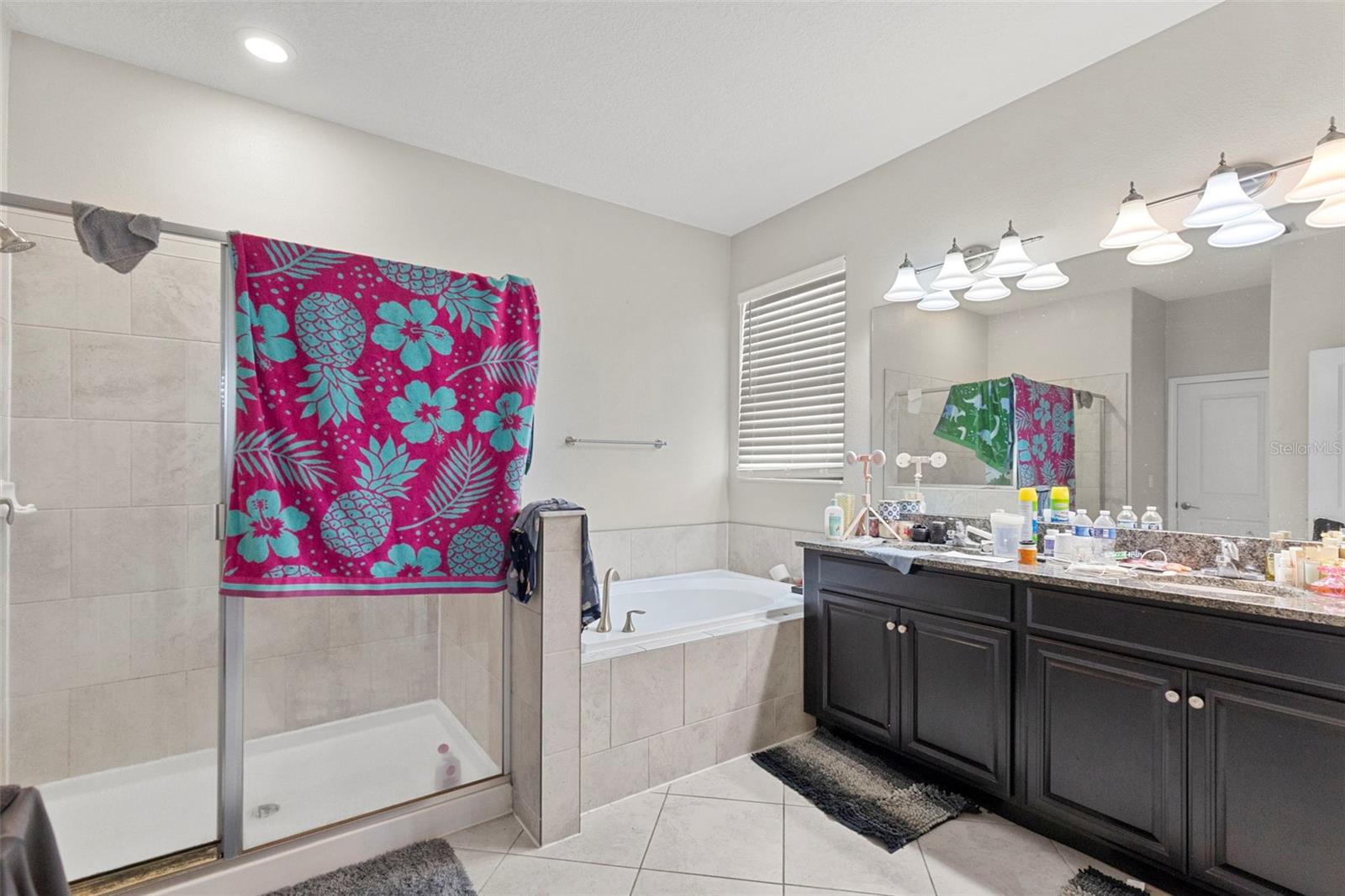 13244 SATIN LILY DR — photo 11
