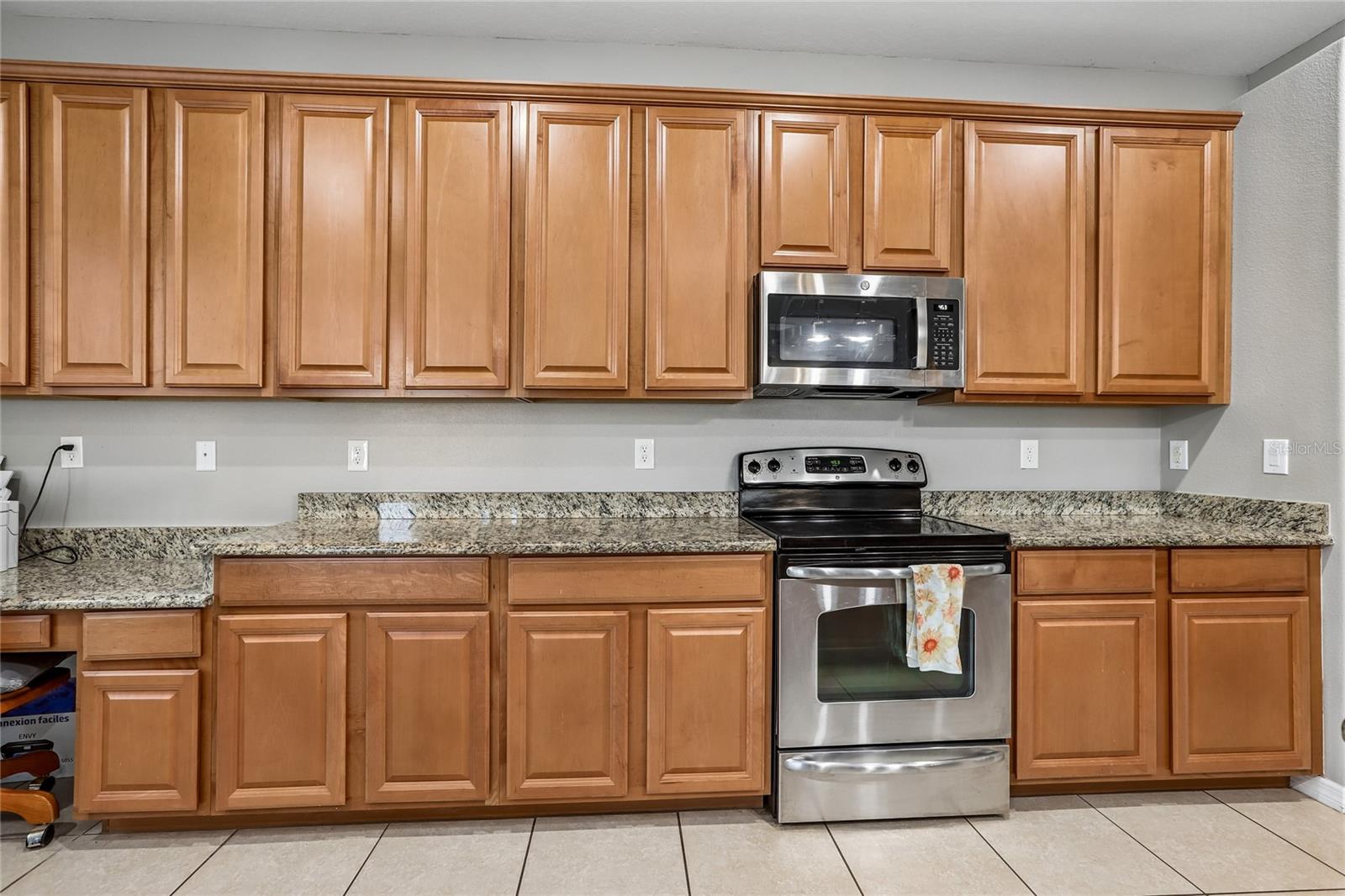 13231 GRAHAM YARDEN DR — photo 48