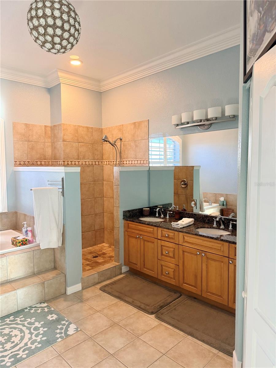 2008 N POINTE ALEXIS DR — photo 26