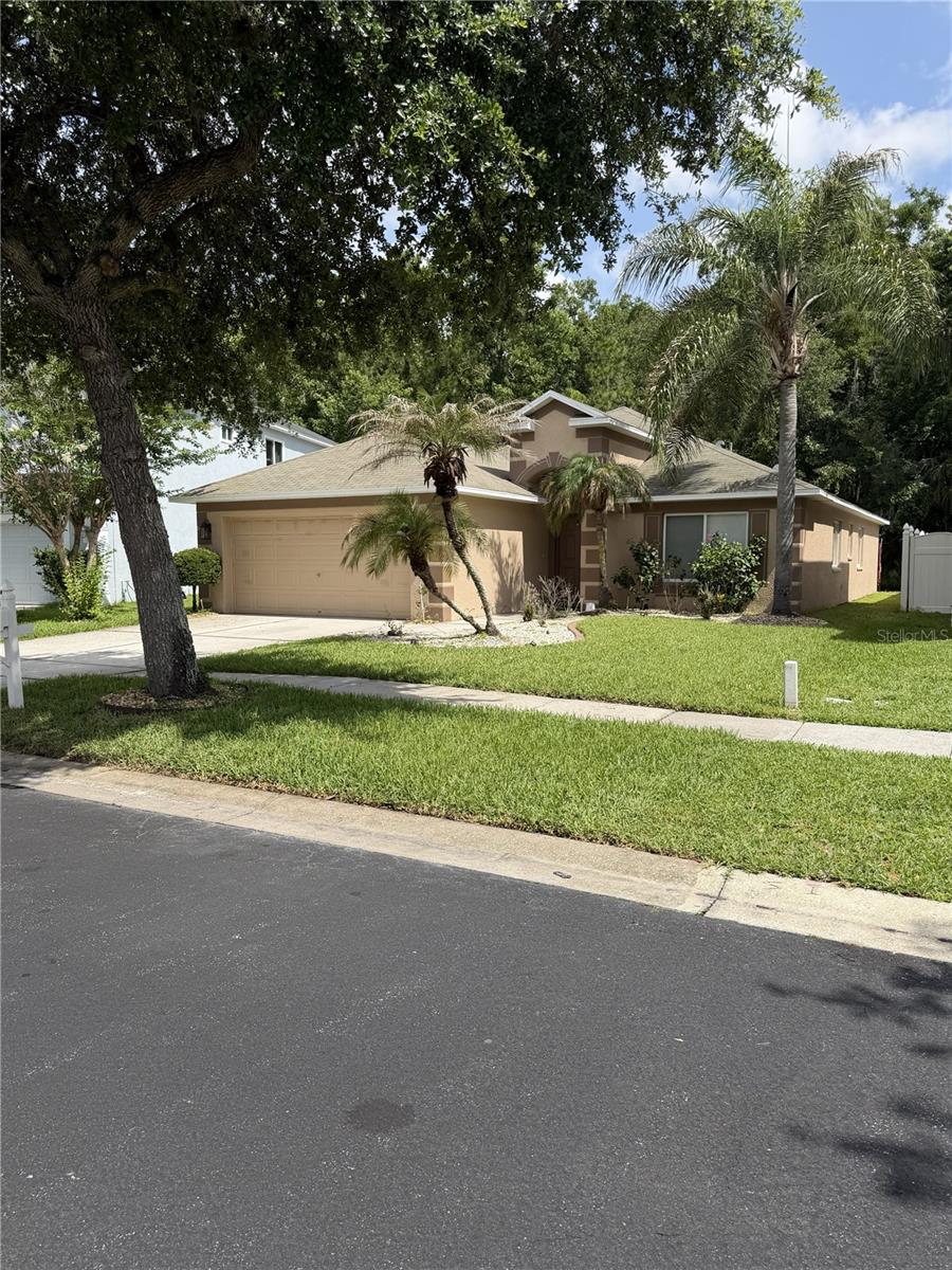 4751 BARCHETTA — photo 9