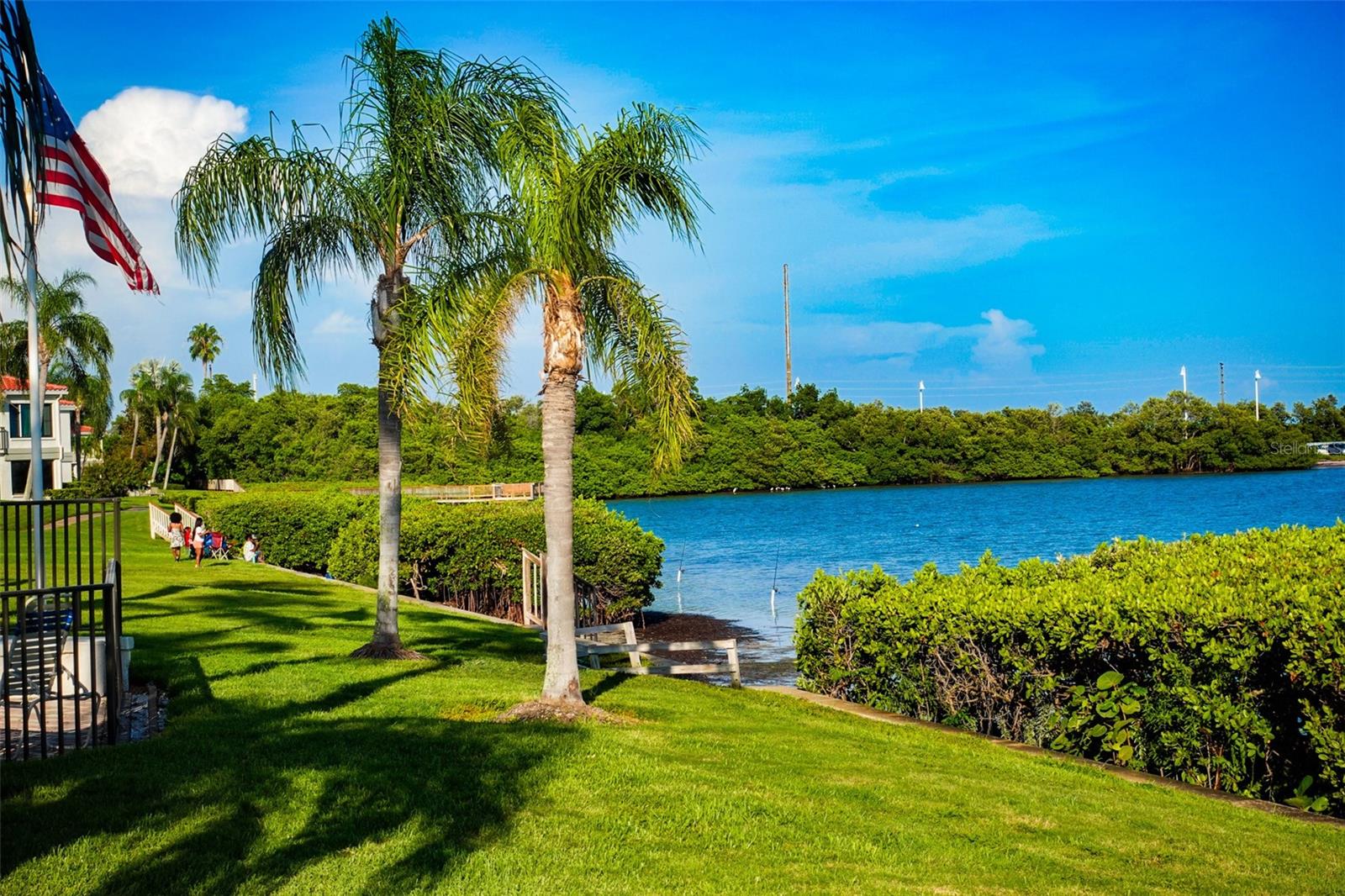 6295 BAHIA DEL MAR CIR #111 — photo 46