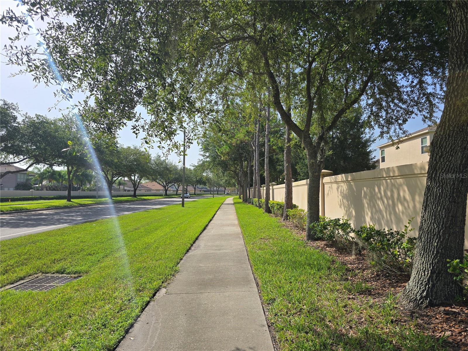 7855 TUSCANY WOODS DR — photo 48