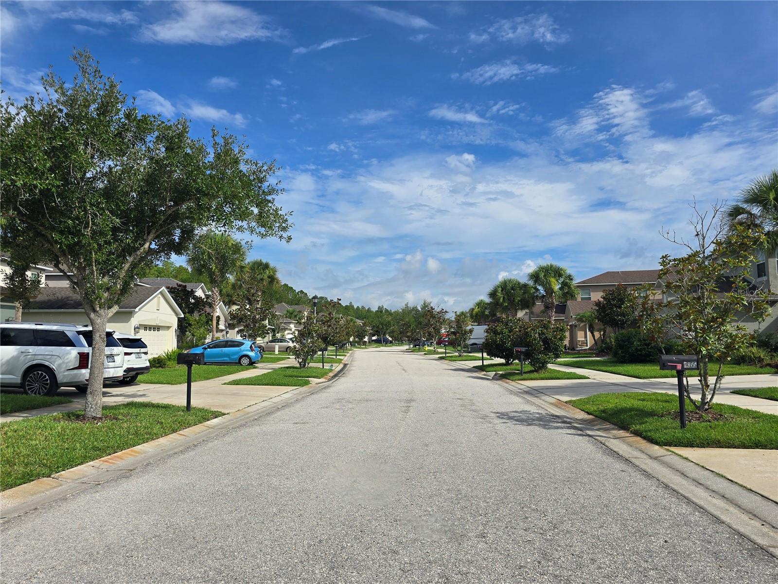 7855 TUSCANY WOODS DR — photo 43