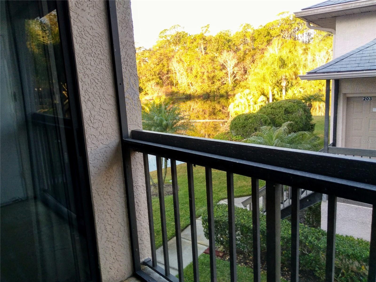 3366 MERMOOR DR #206 — photo 9