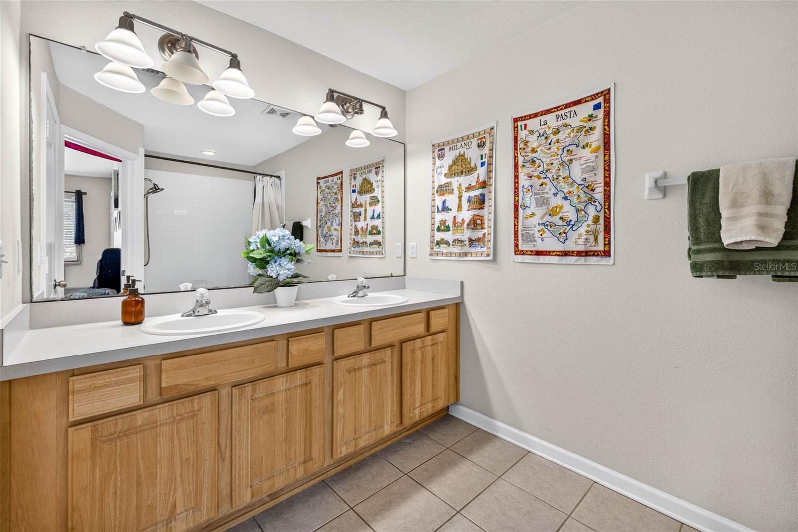 26624 CHIMNEY SPIRE LN — photo 21