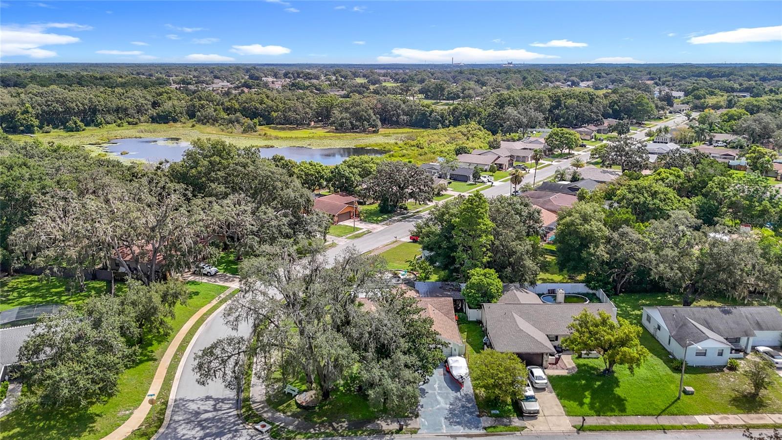 12529 SHADOW RIDGE BLVD — photo 52