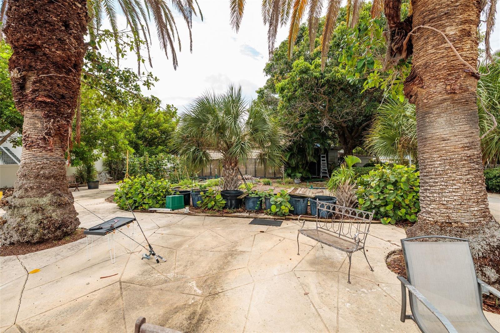 216 PUNTA VISTA DR — photo 12