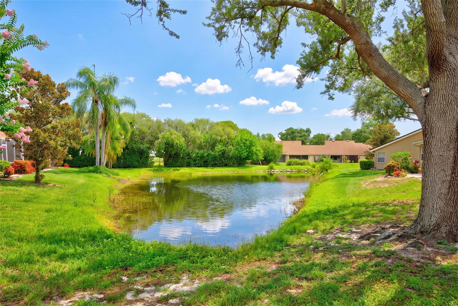 5626 MONTE ROSSO RD — photo 21